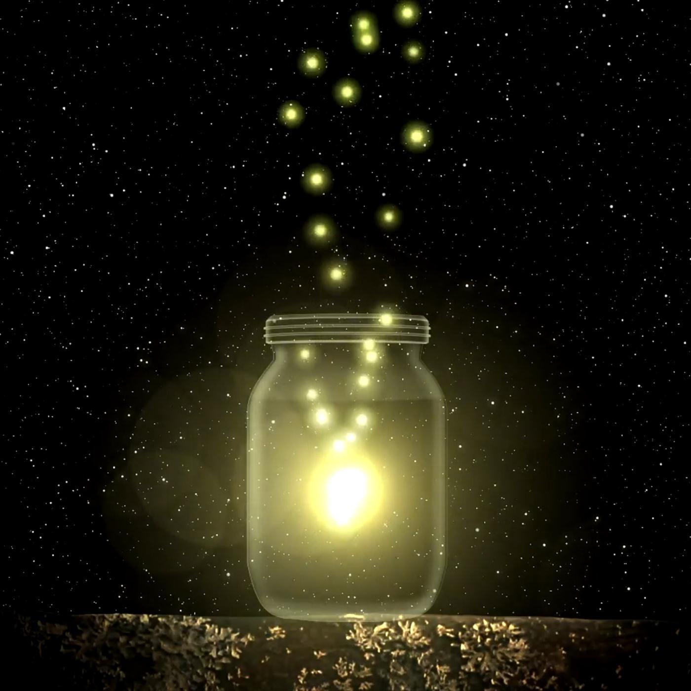 Fireflies