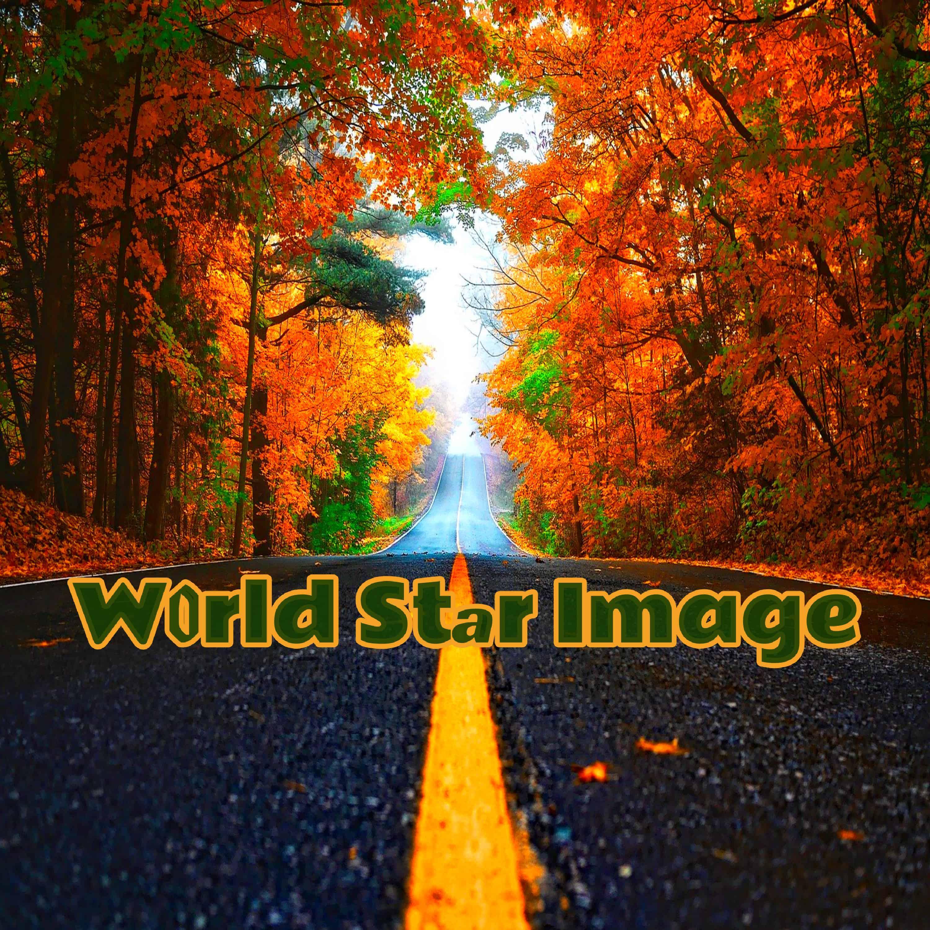 World Star Image