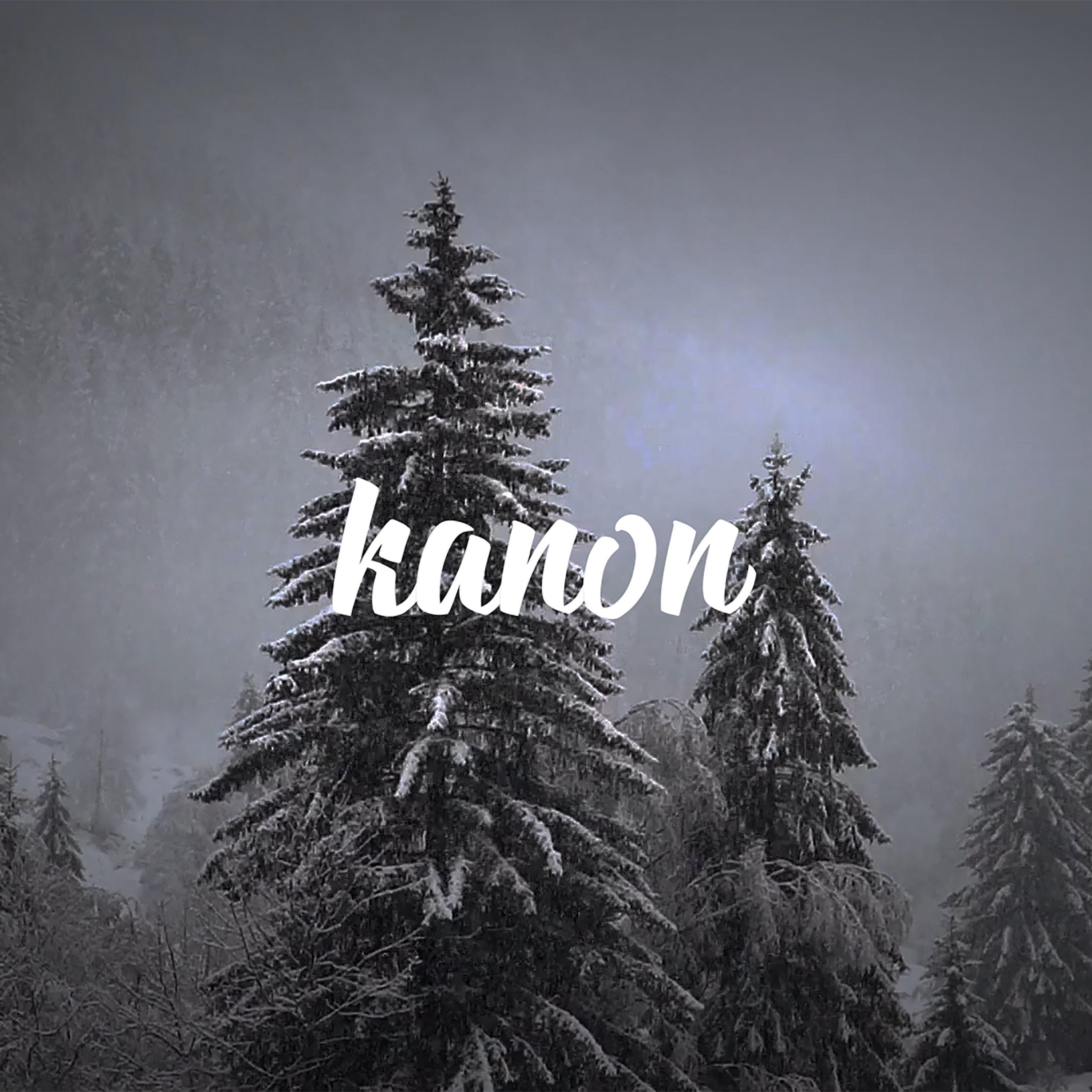 Snowfall