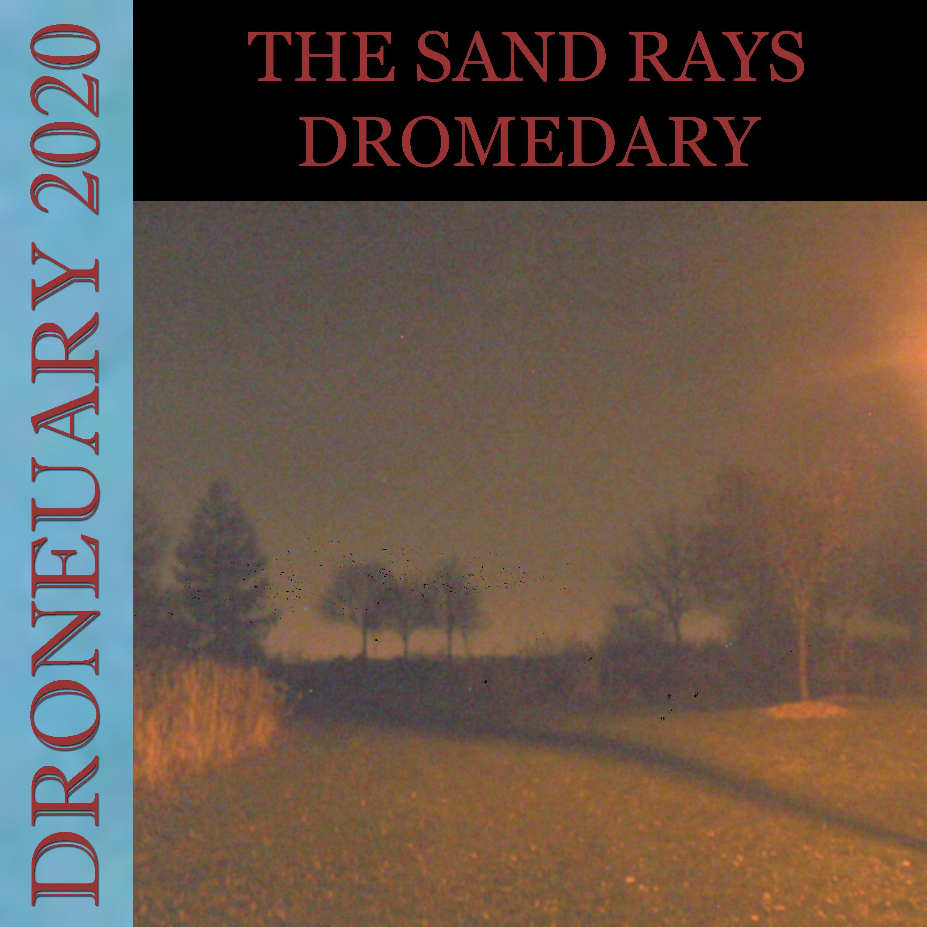 Dromedary