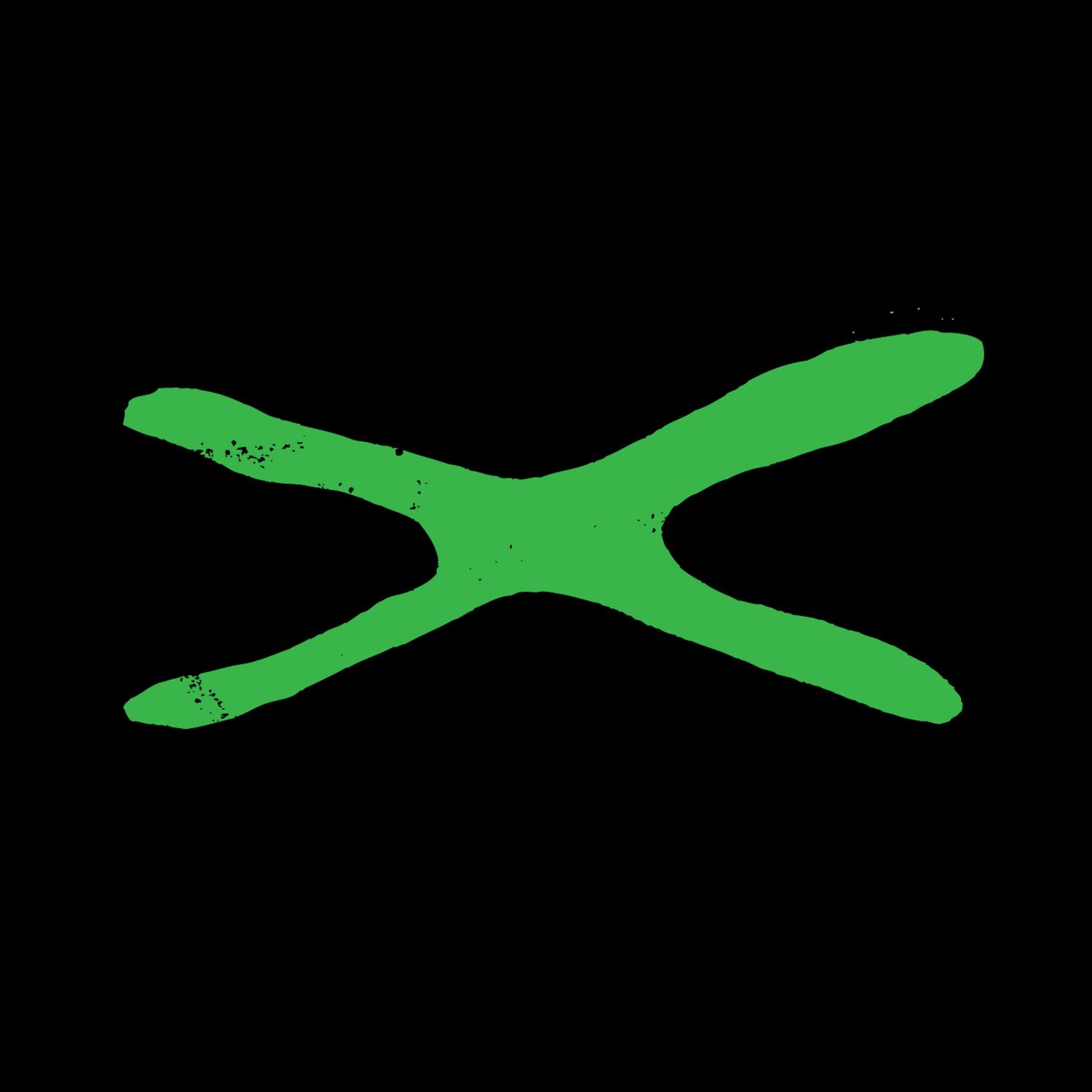 Xtc Party