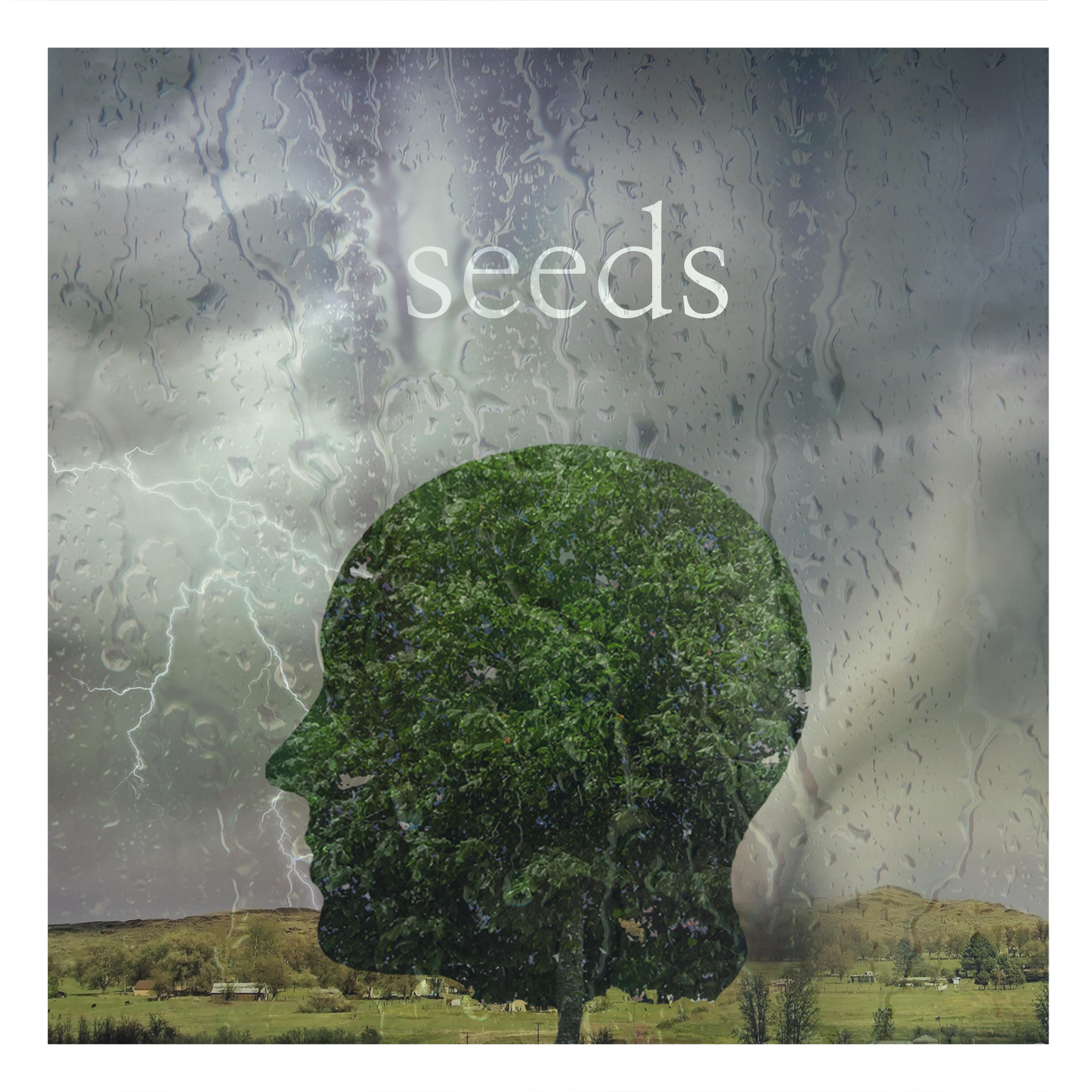 Seeds