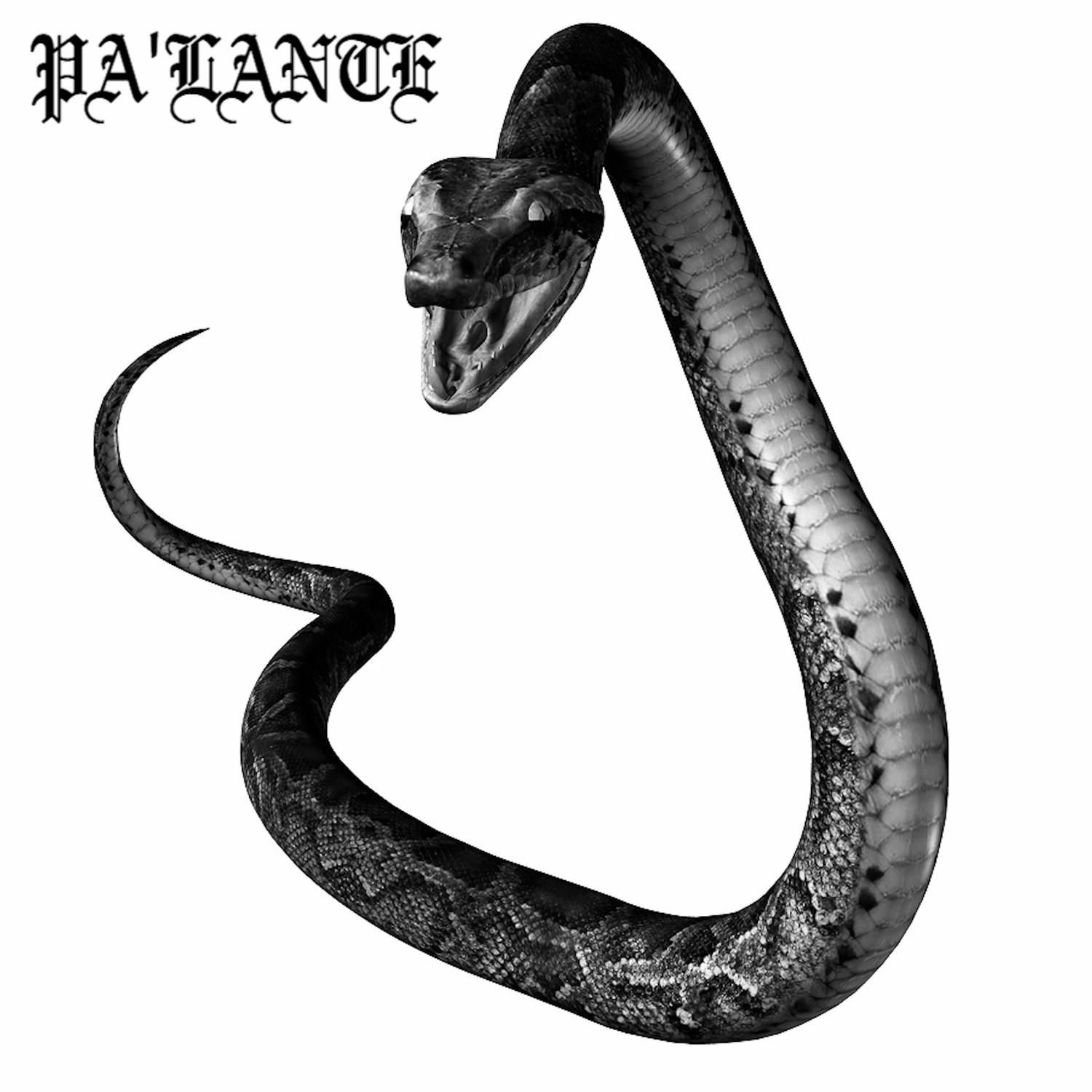 The Snake