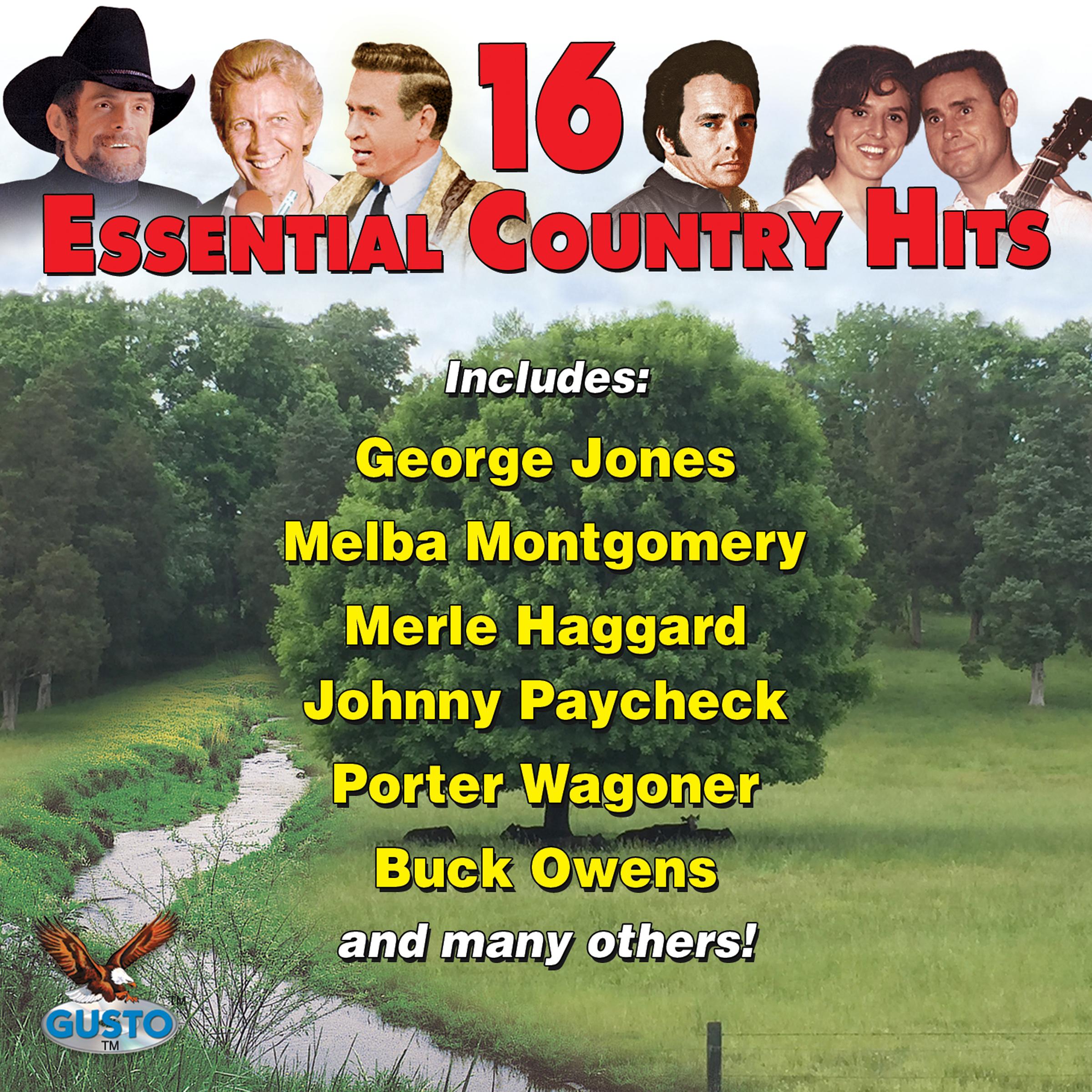 16 Essential Country Hits