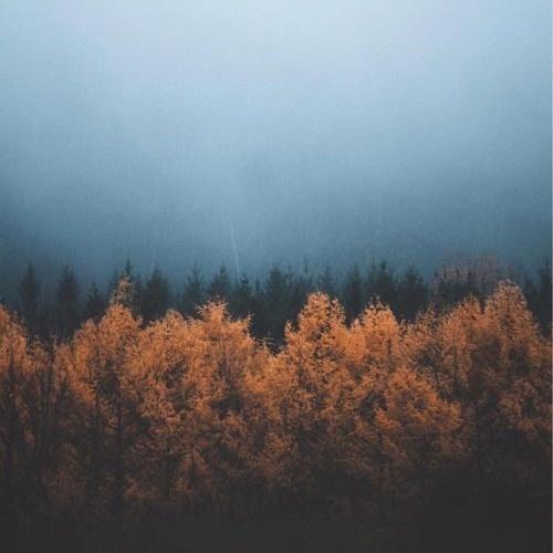 Sheltered