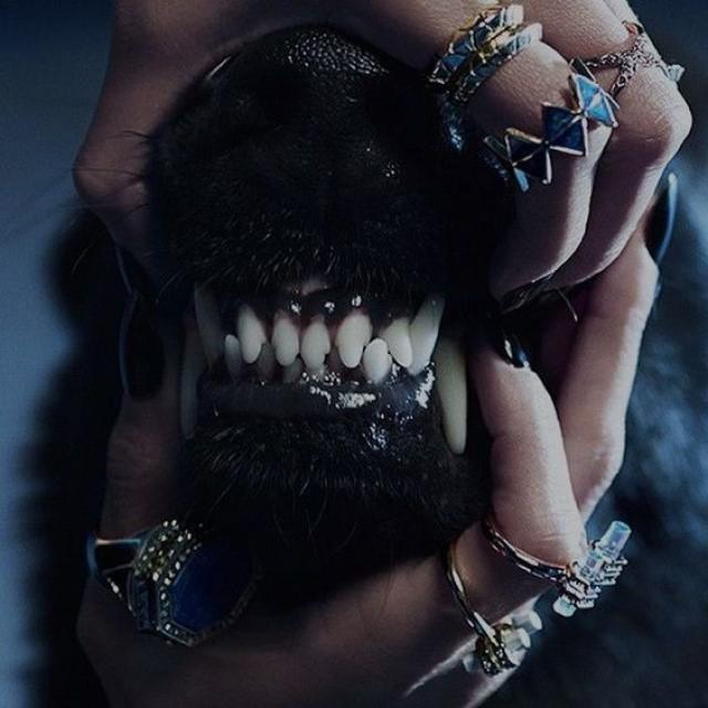underdog