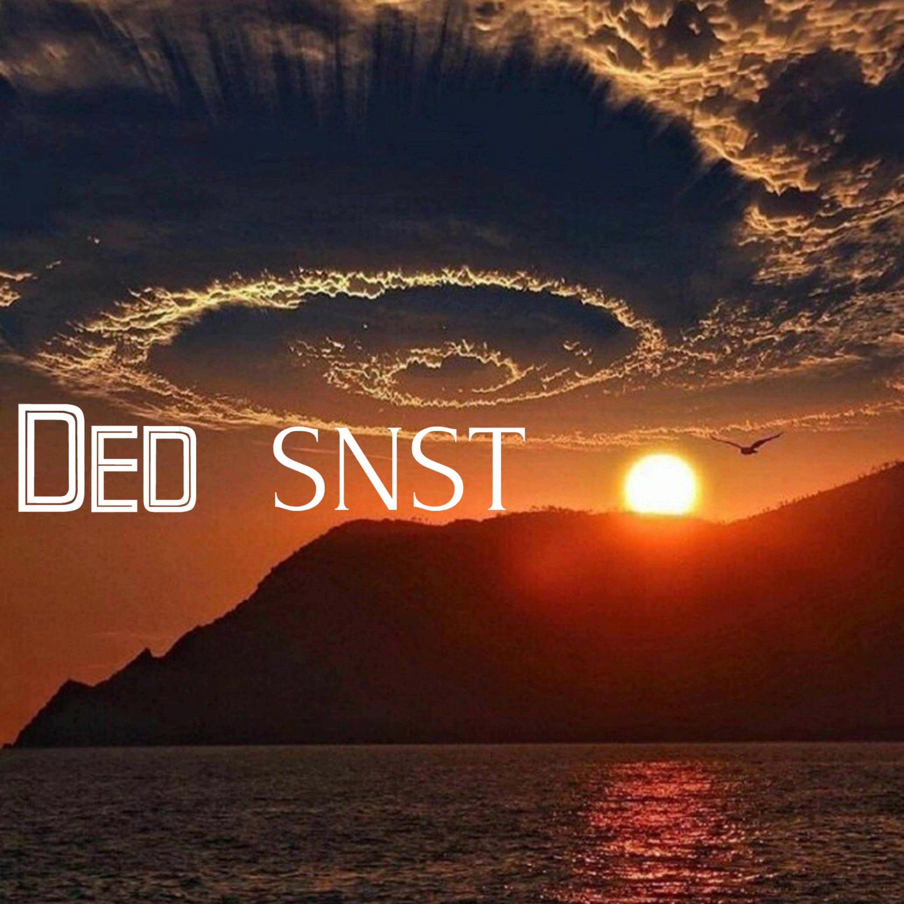 Snst