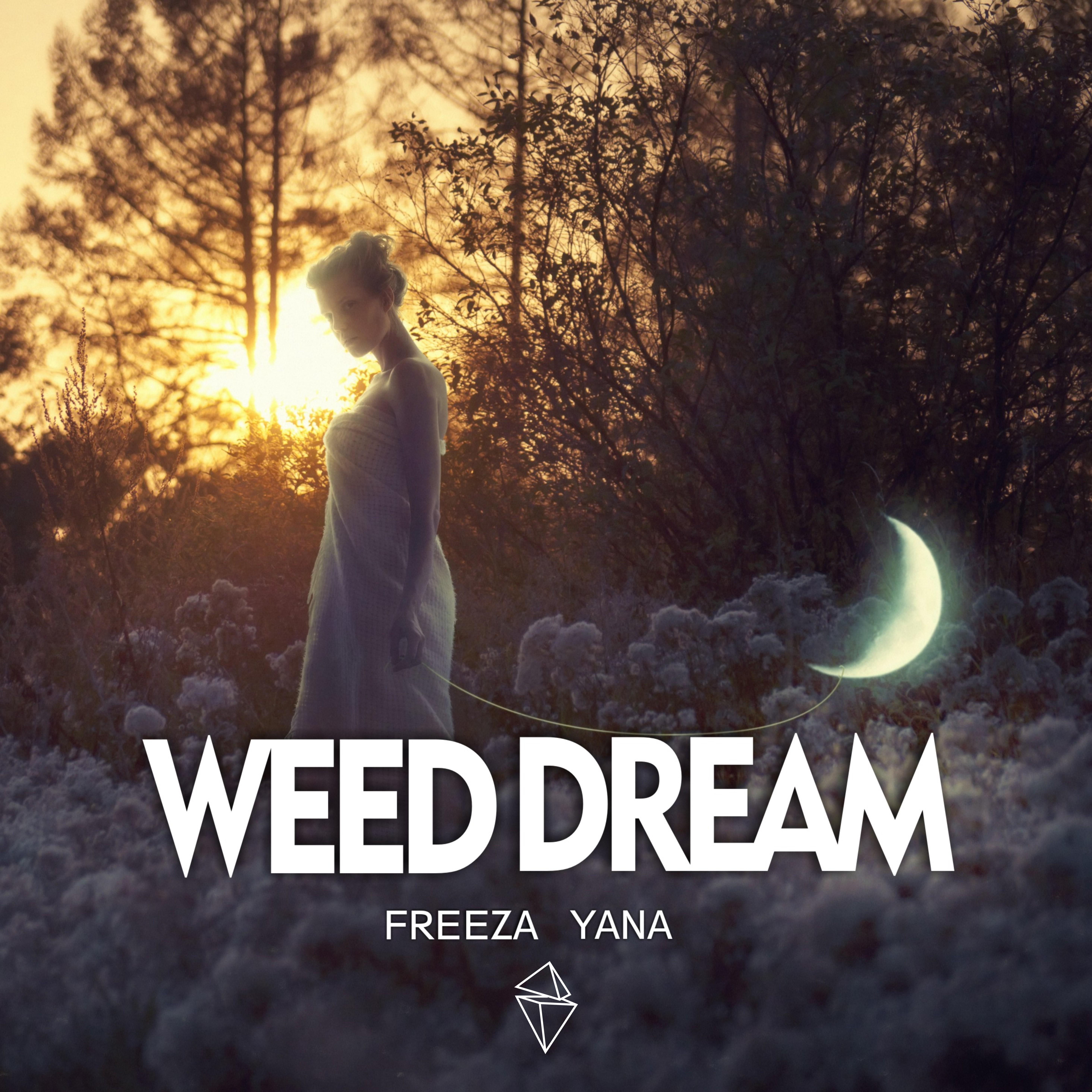   Dream