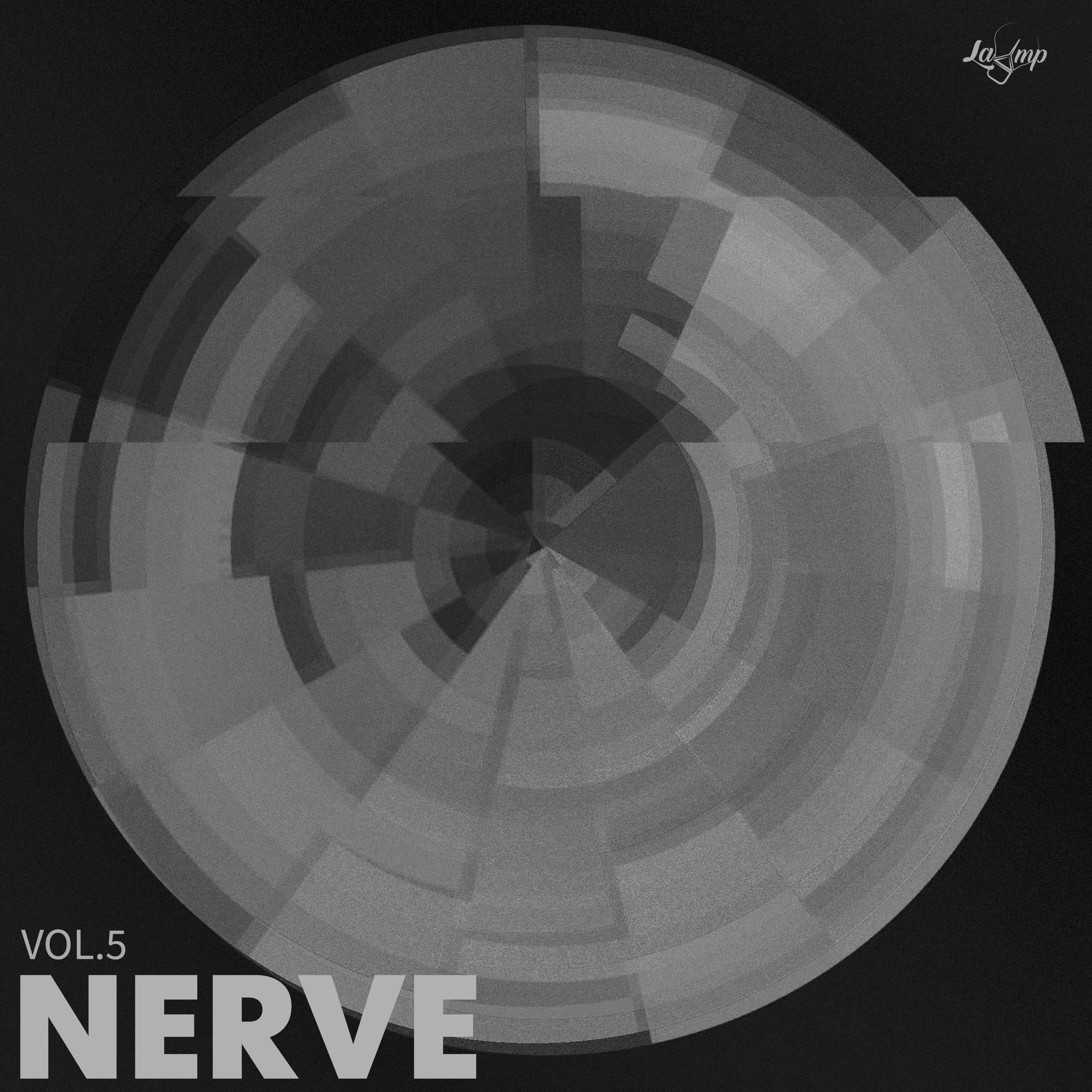 Nerve ; Vol.5