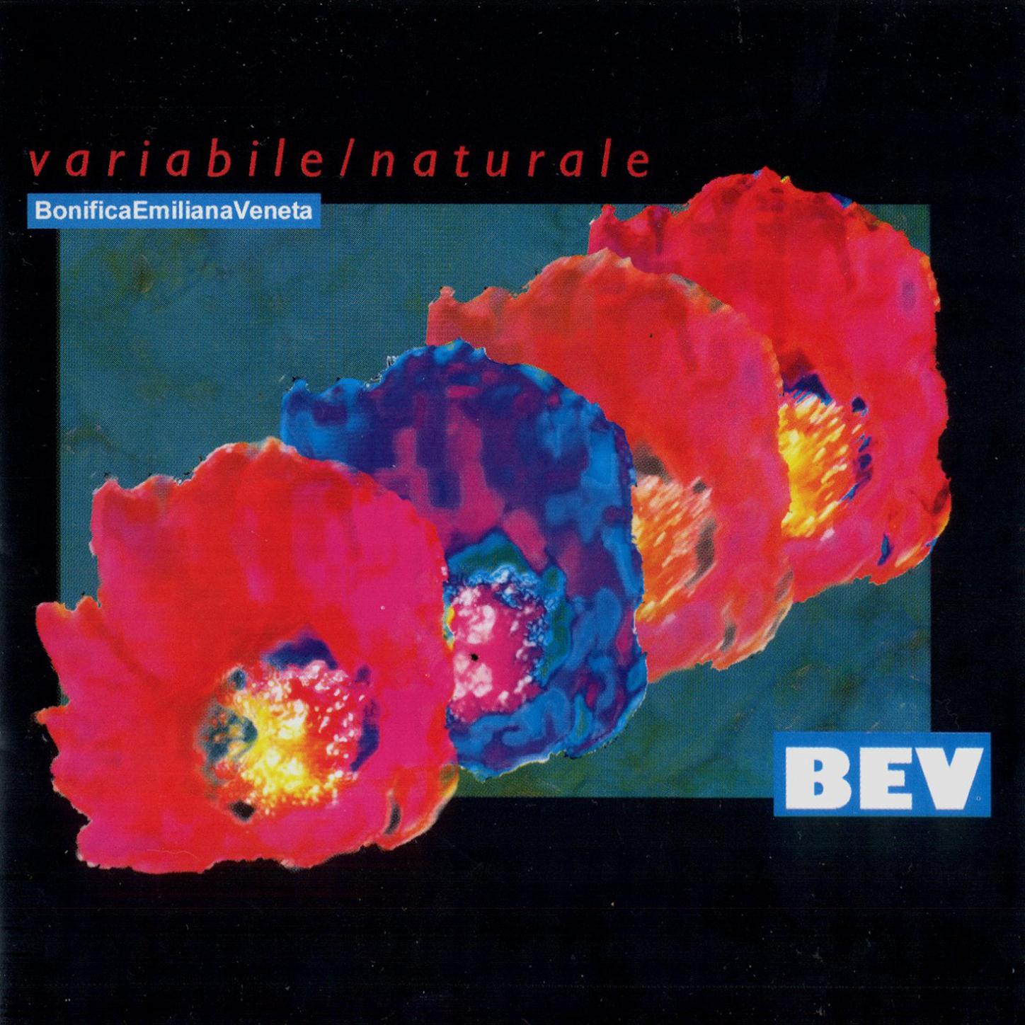 Variabile / Naturale