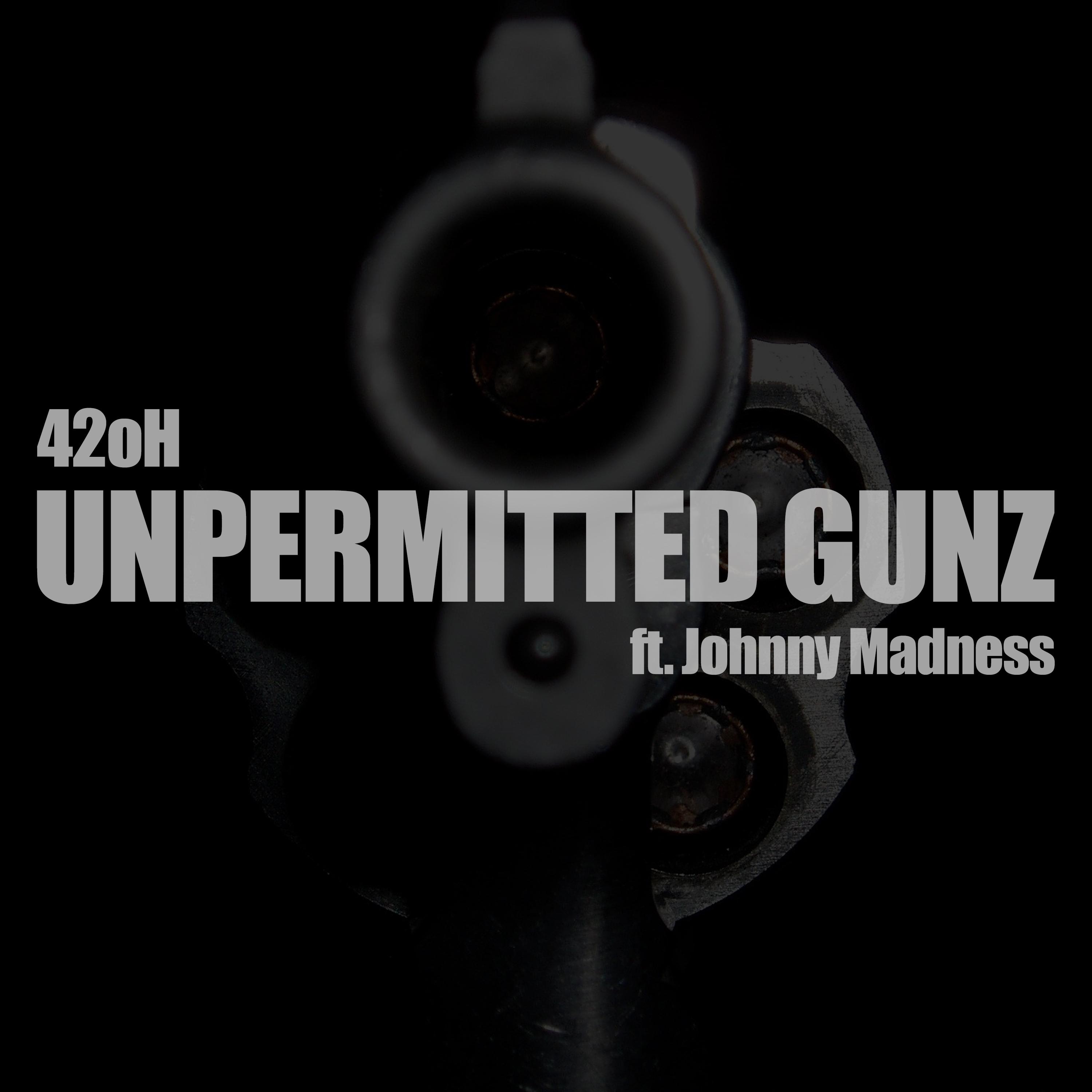 Unpermitted Gunz