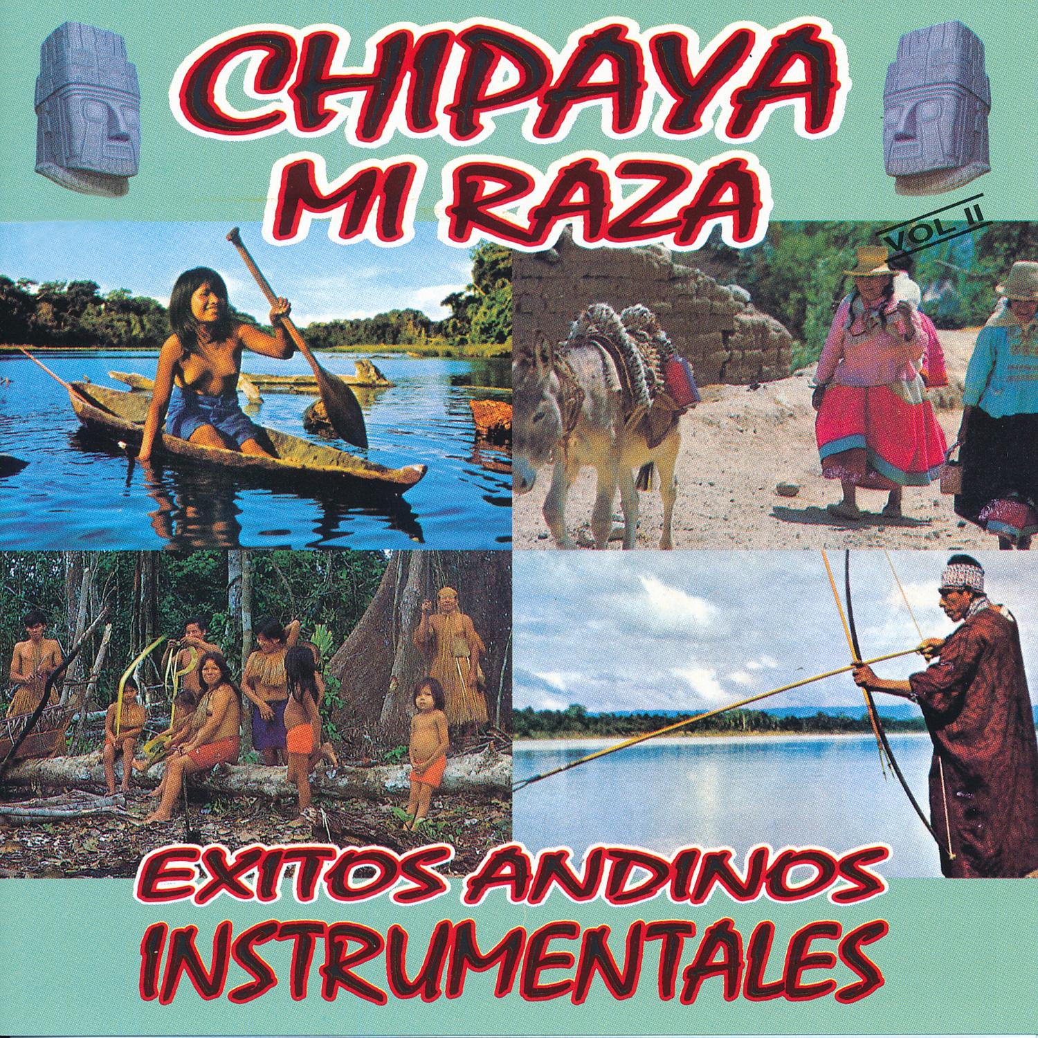 Exitos Andinos Instrumentales Vol. II