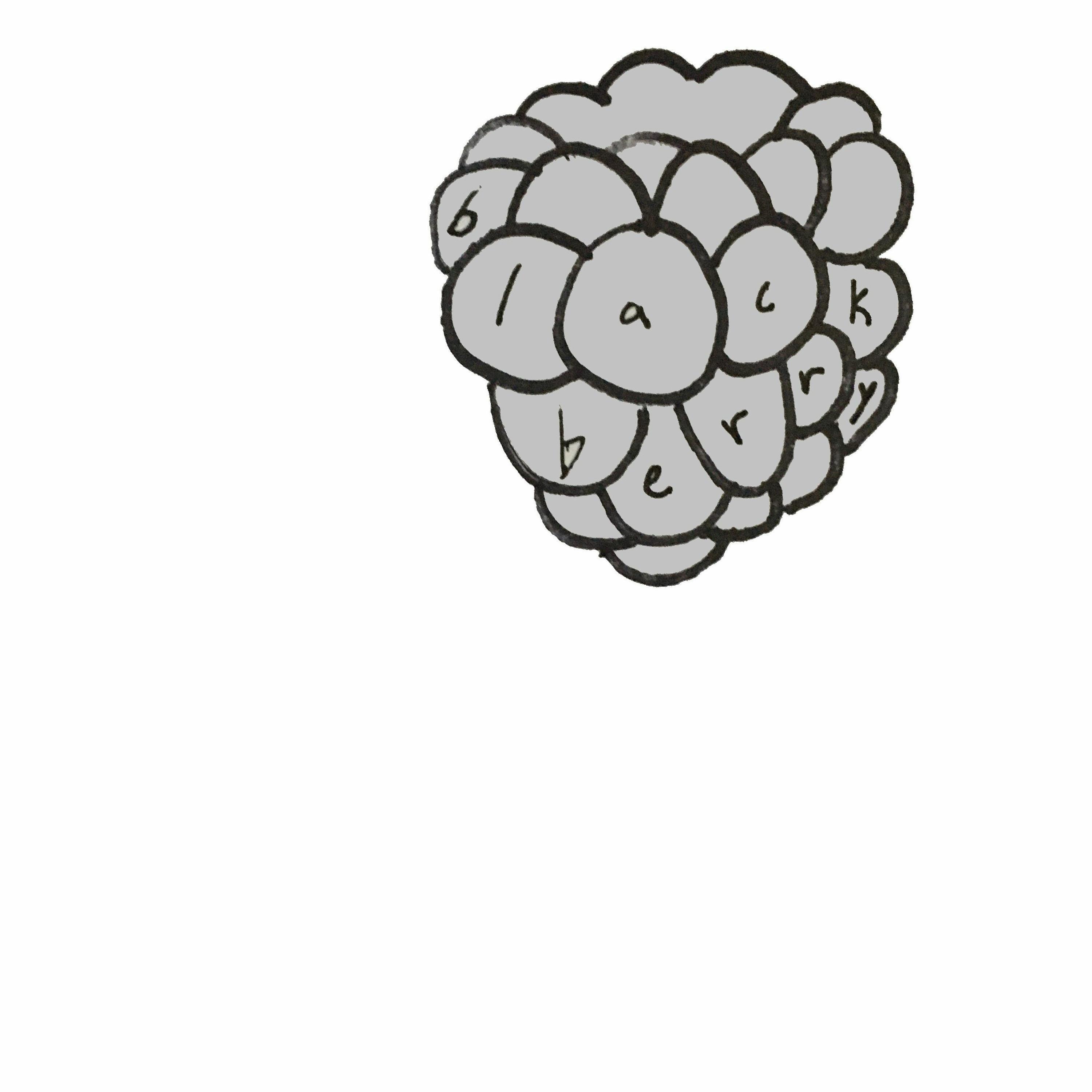 blackberry