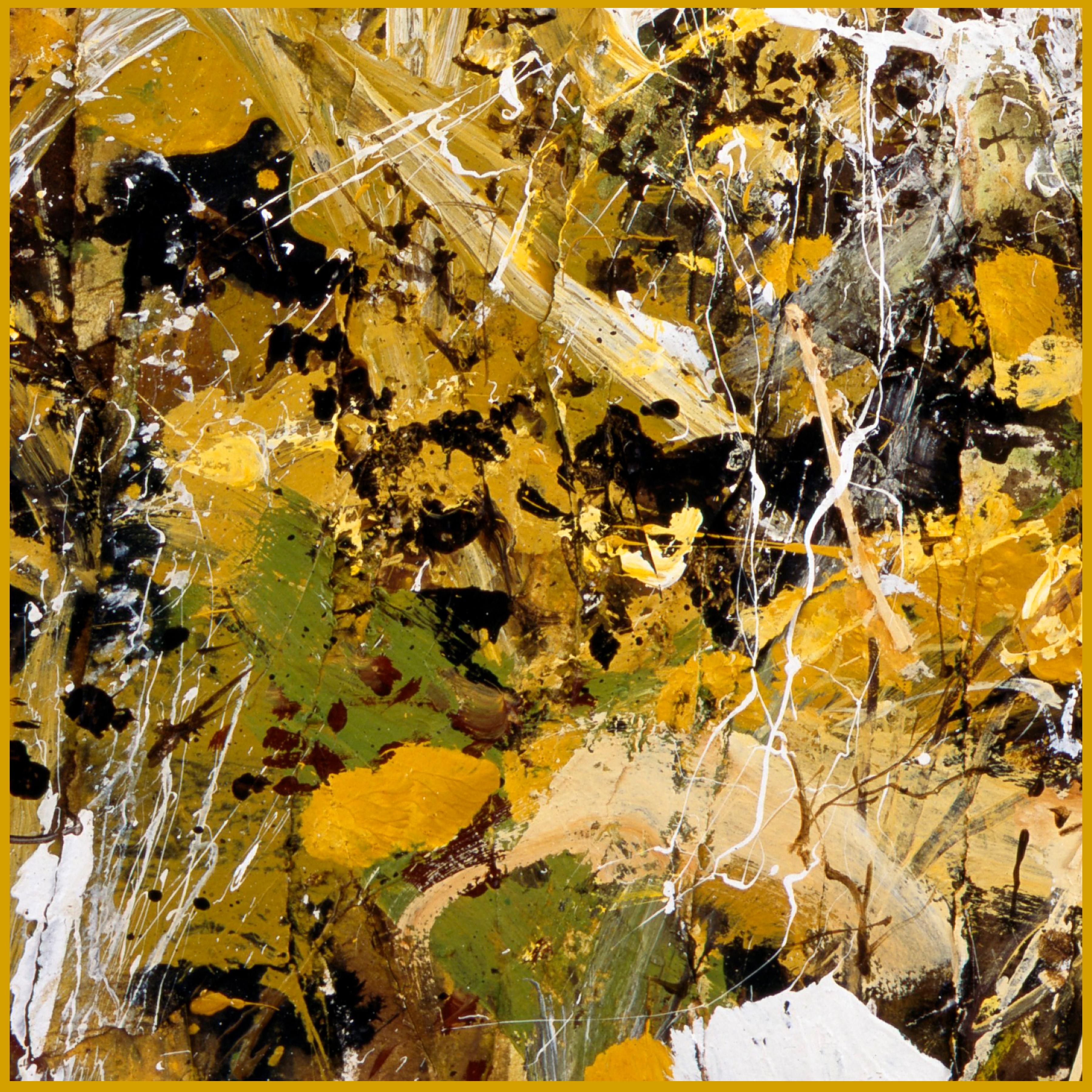 Notes on Belonging (Reworked)