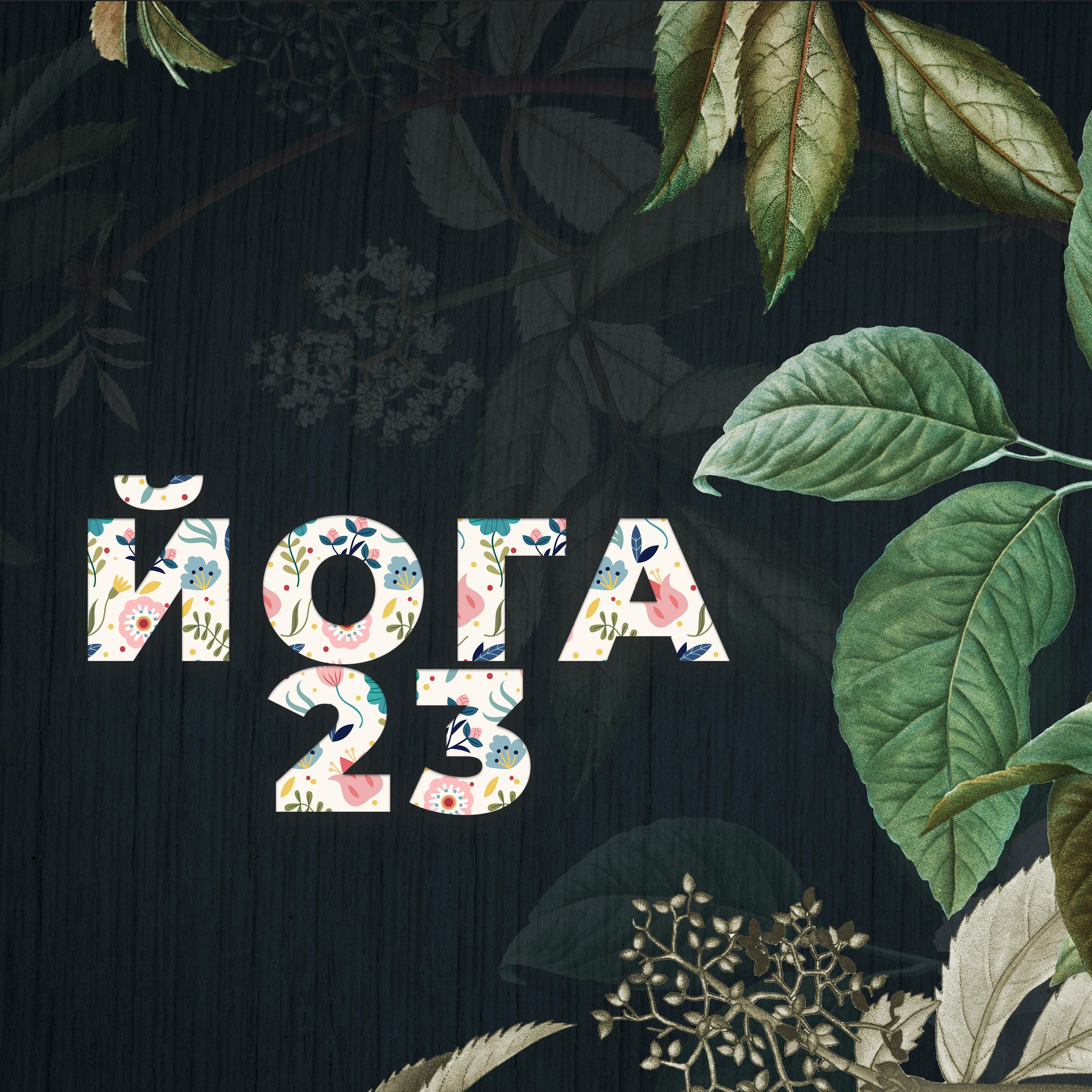 23 , , , ,