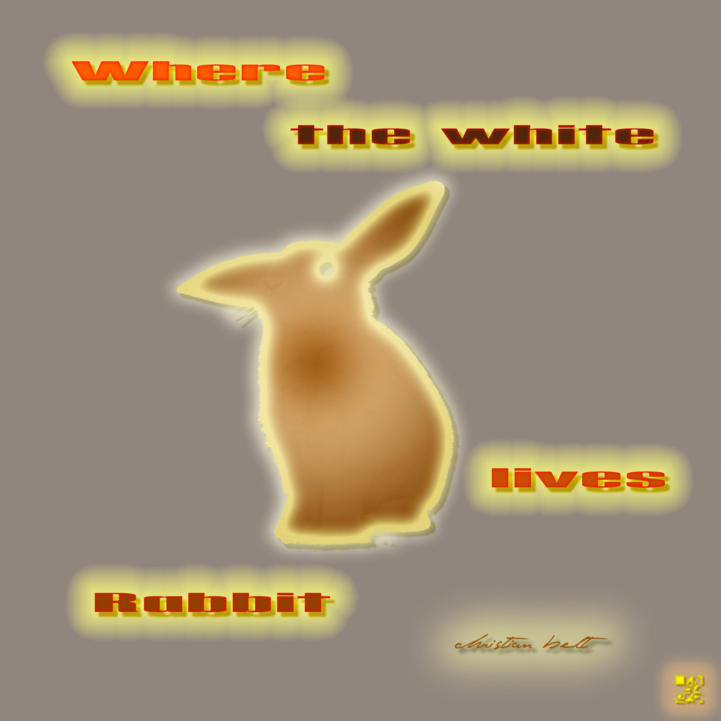 Where the White Rabbit Lives