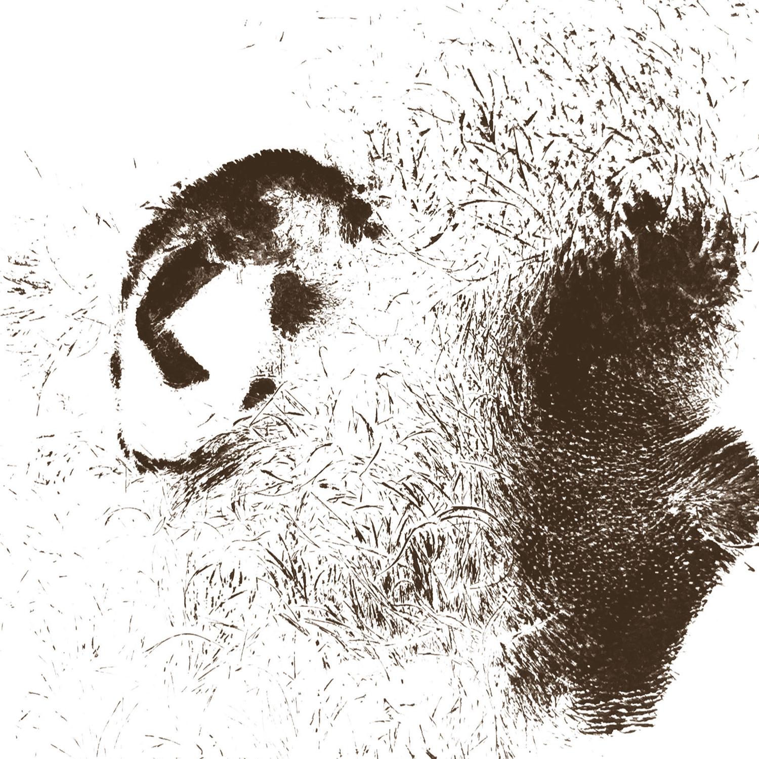 Ahorn