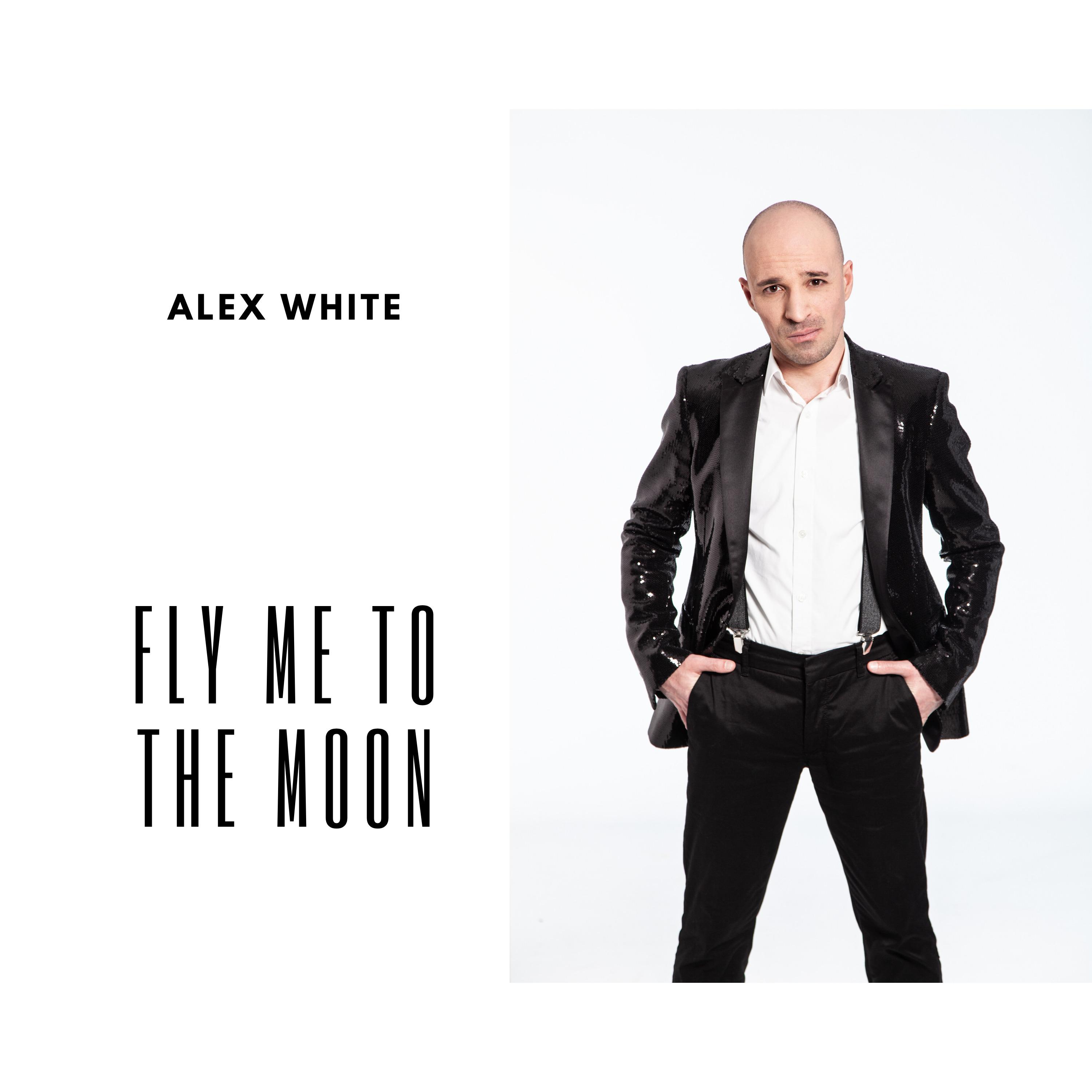 Fly Me To The Moon
