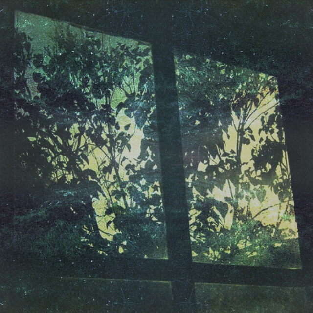 echo patterns