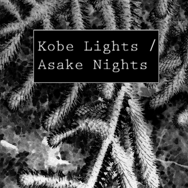 Kobe Lights