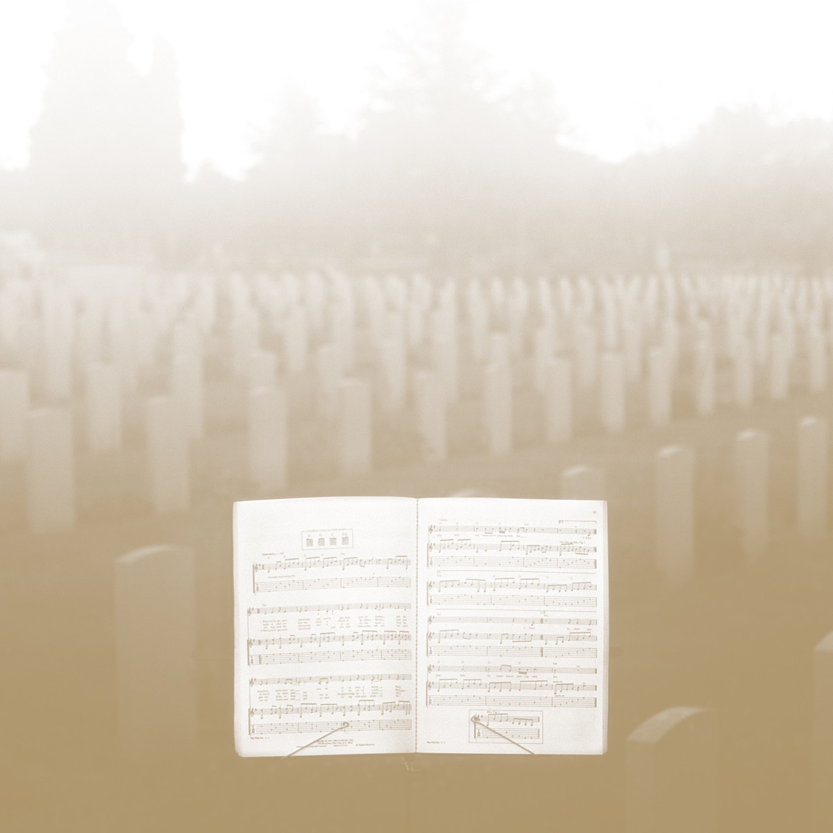 Strangle The Shadows