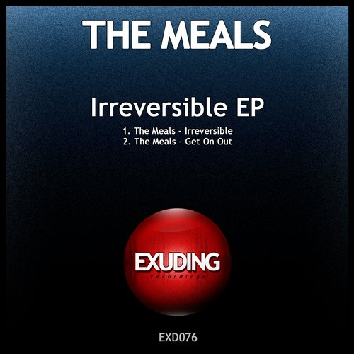 Irreversible (Original Mix)