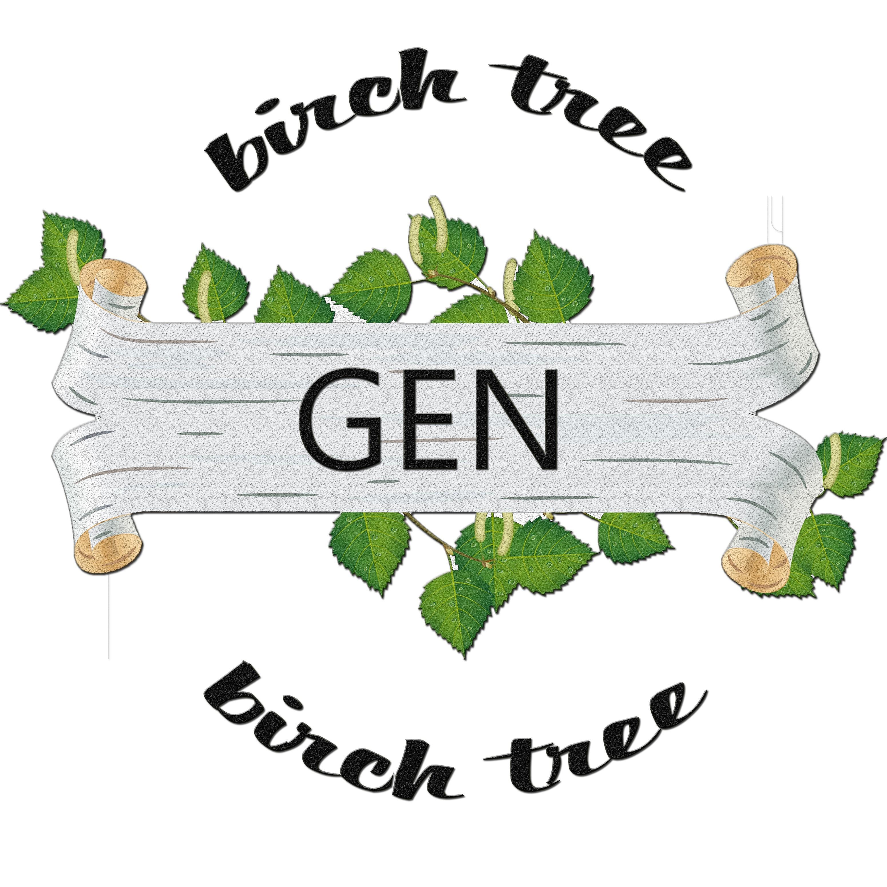 Birch Tree