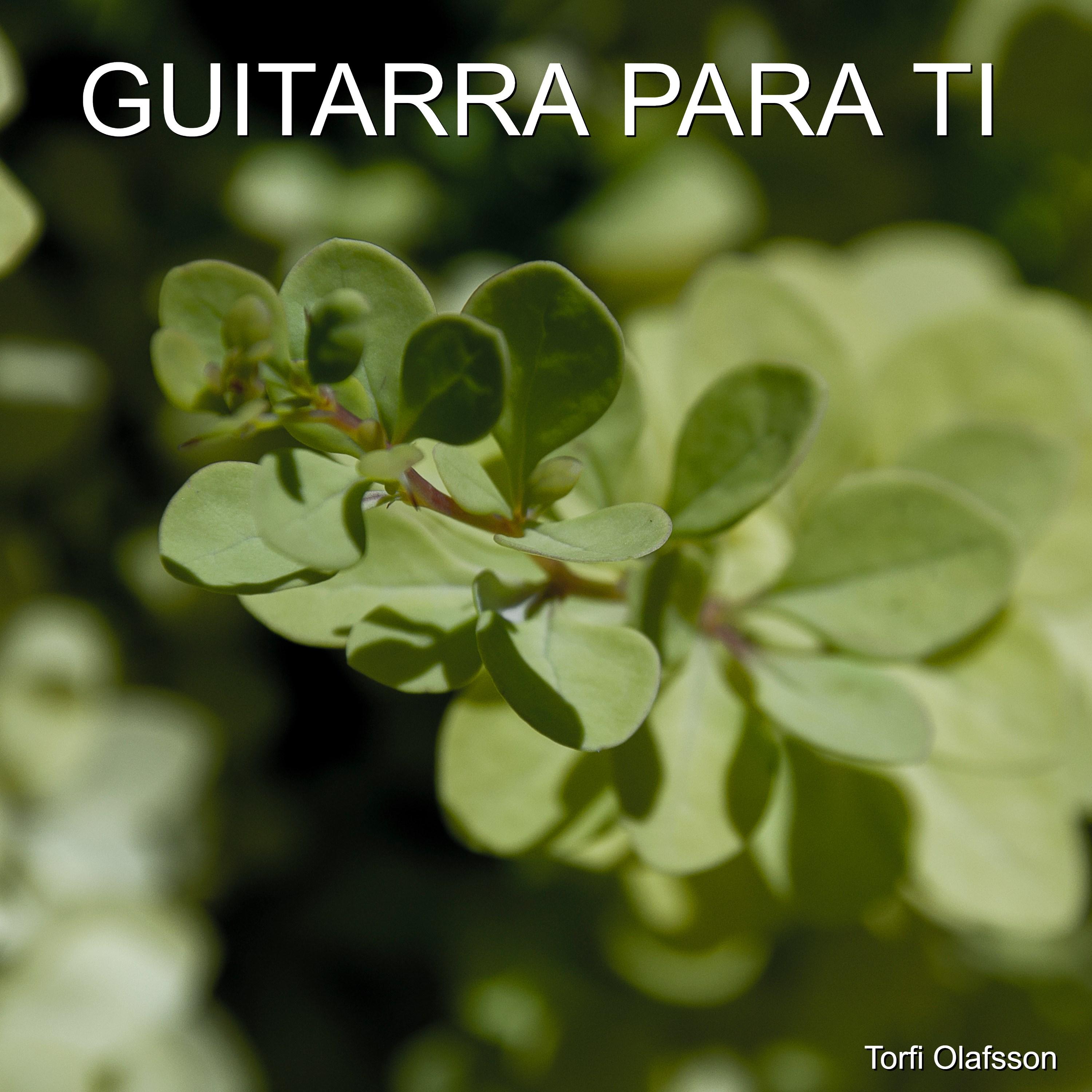 Guitarra Para Ti