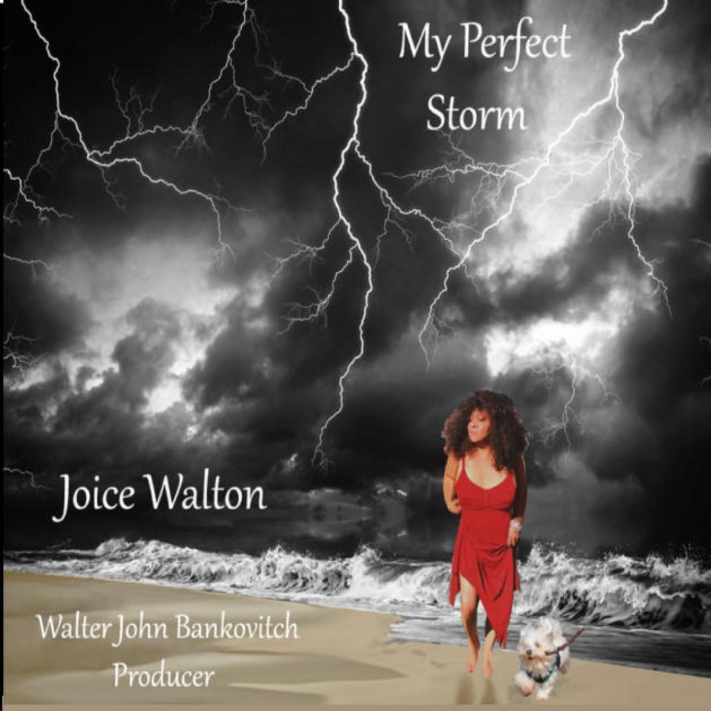 My Perfect Storm