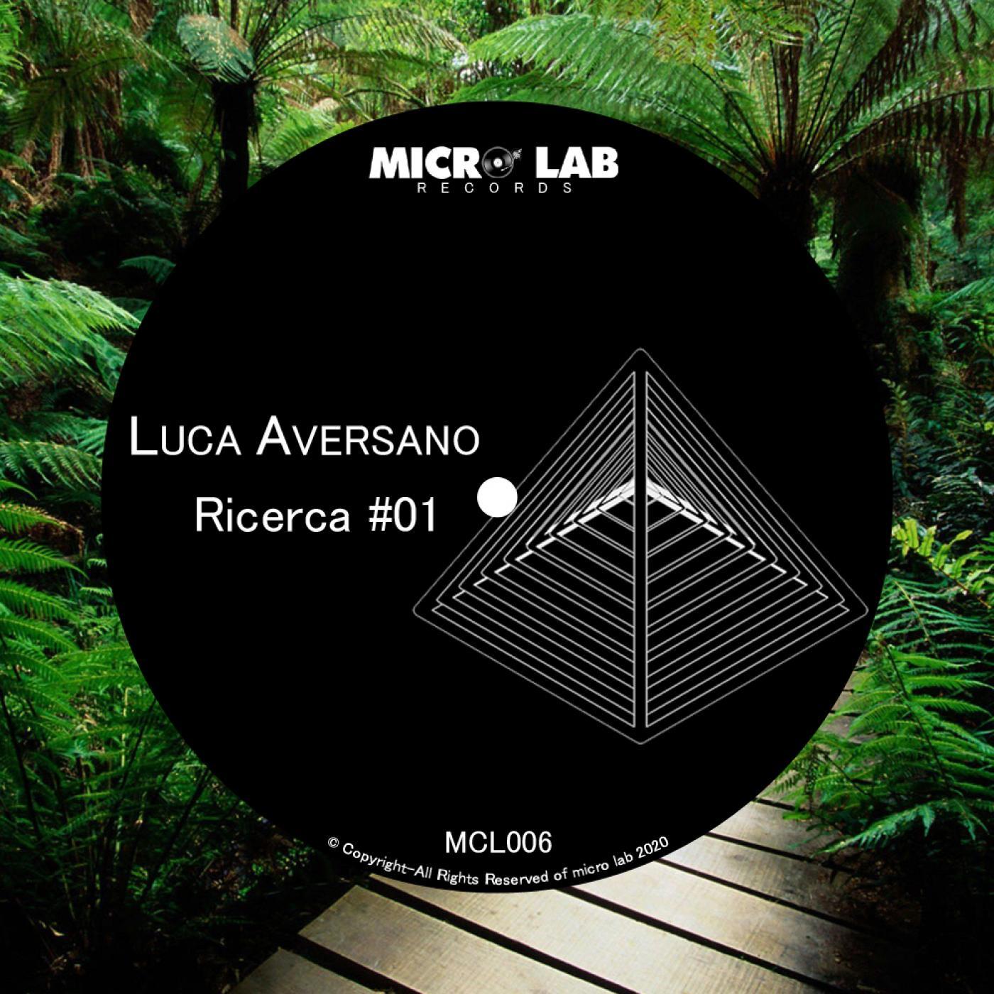 Ricerca 01
