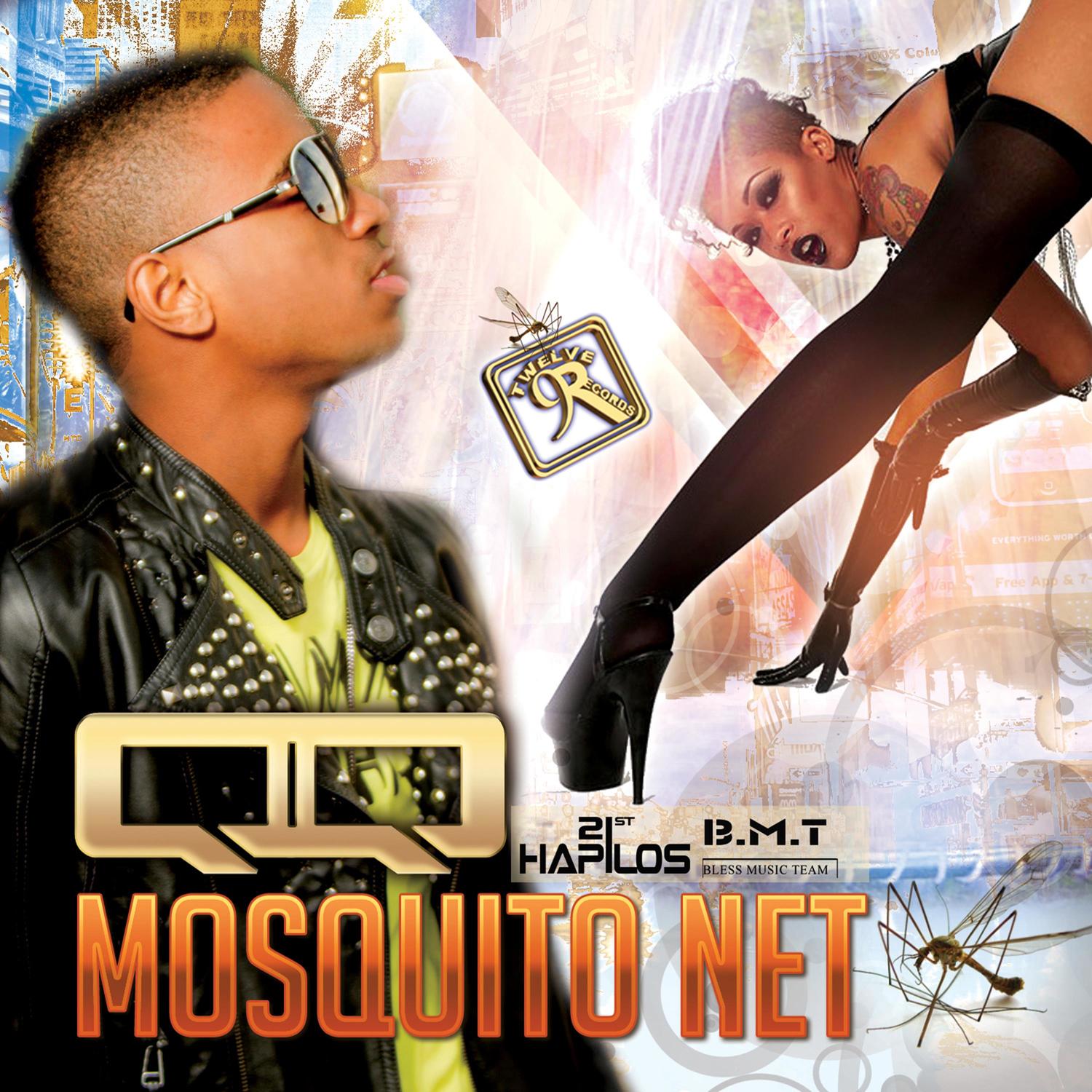 Mosquito Net