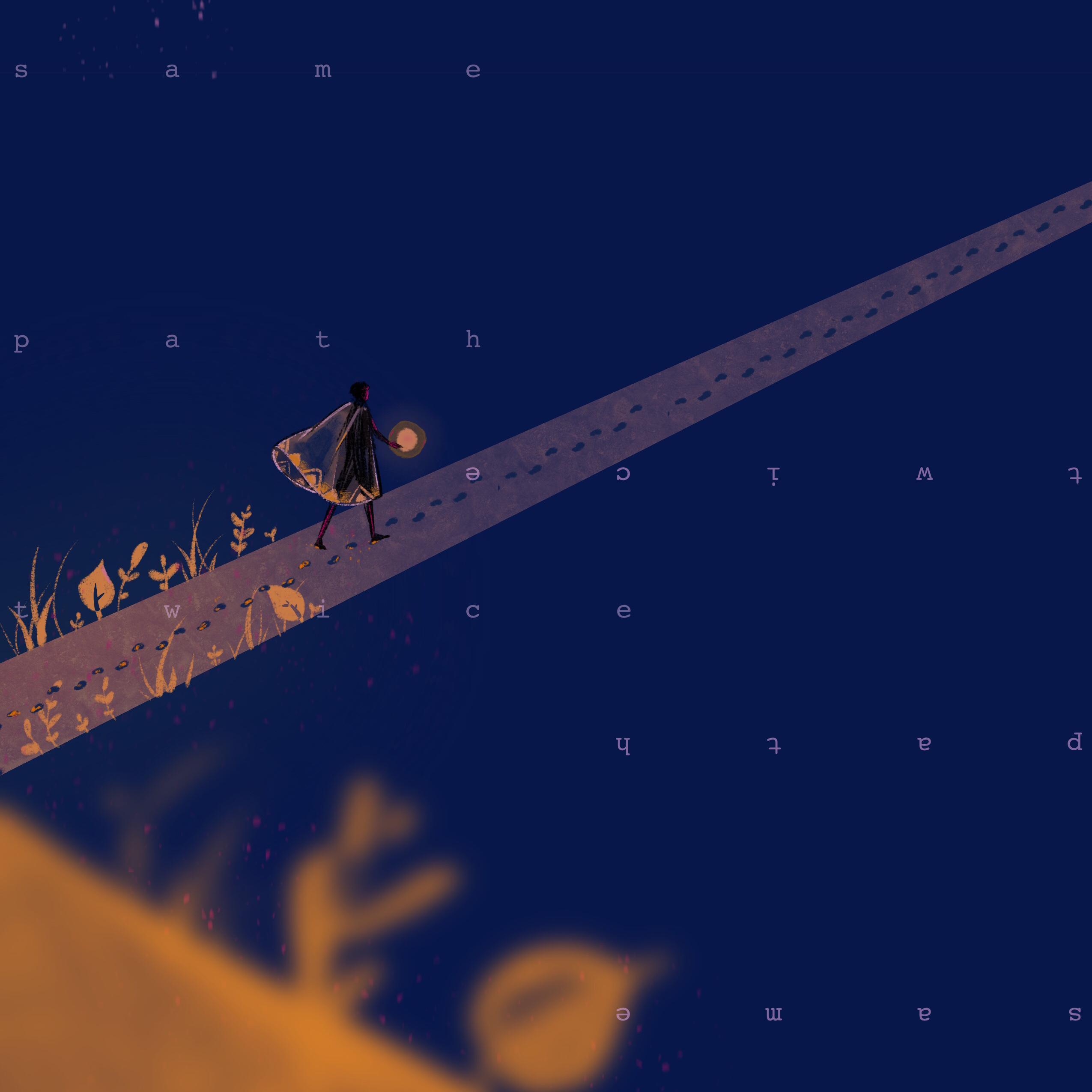 Same Path Twice