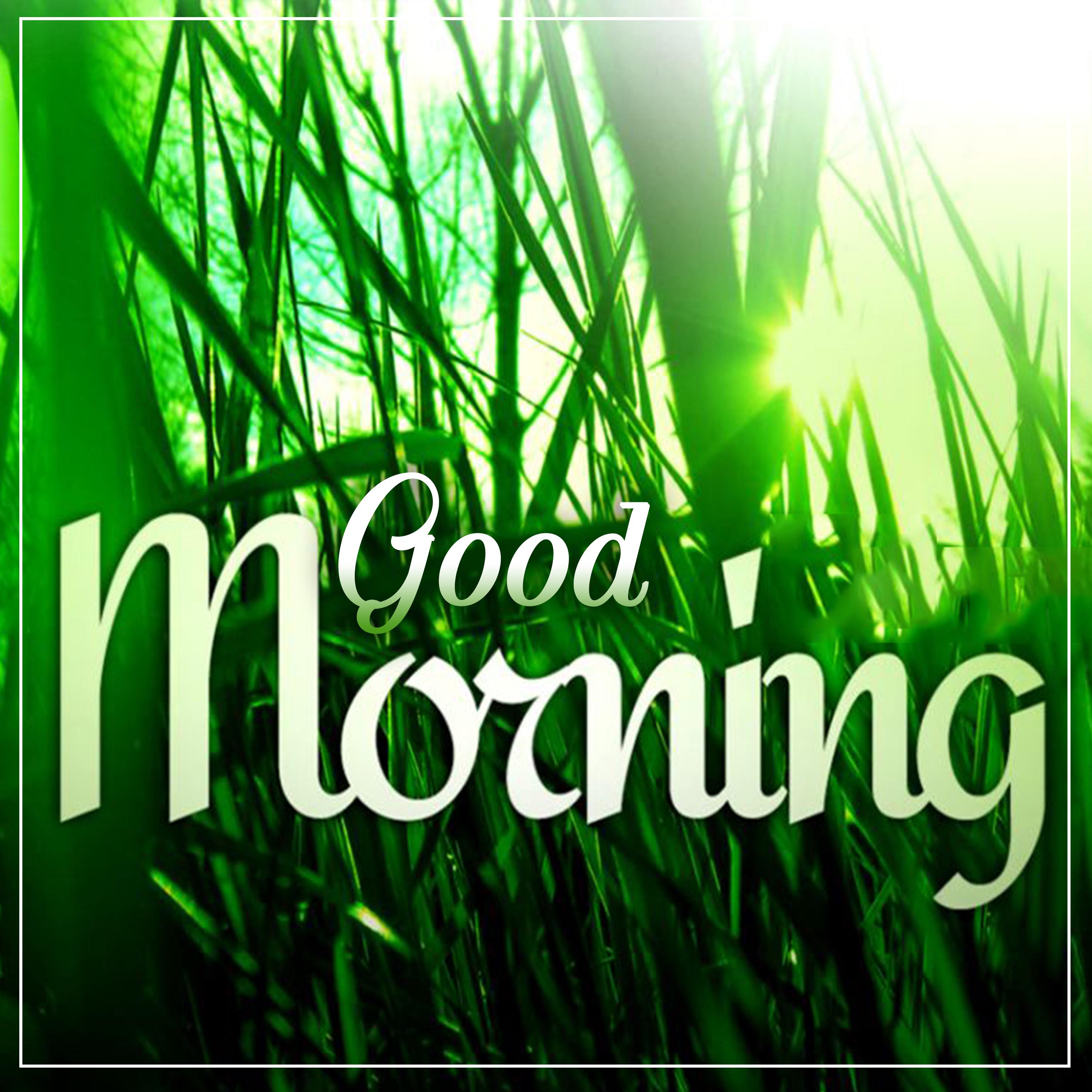 Good Morning New Day