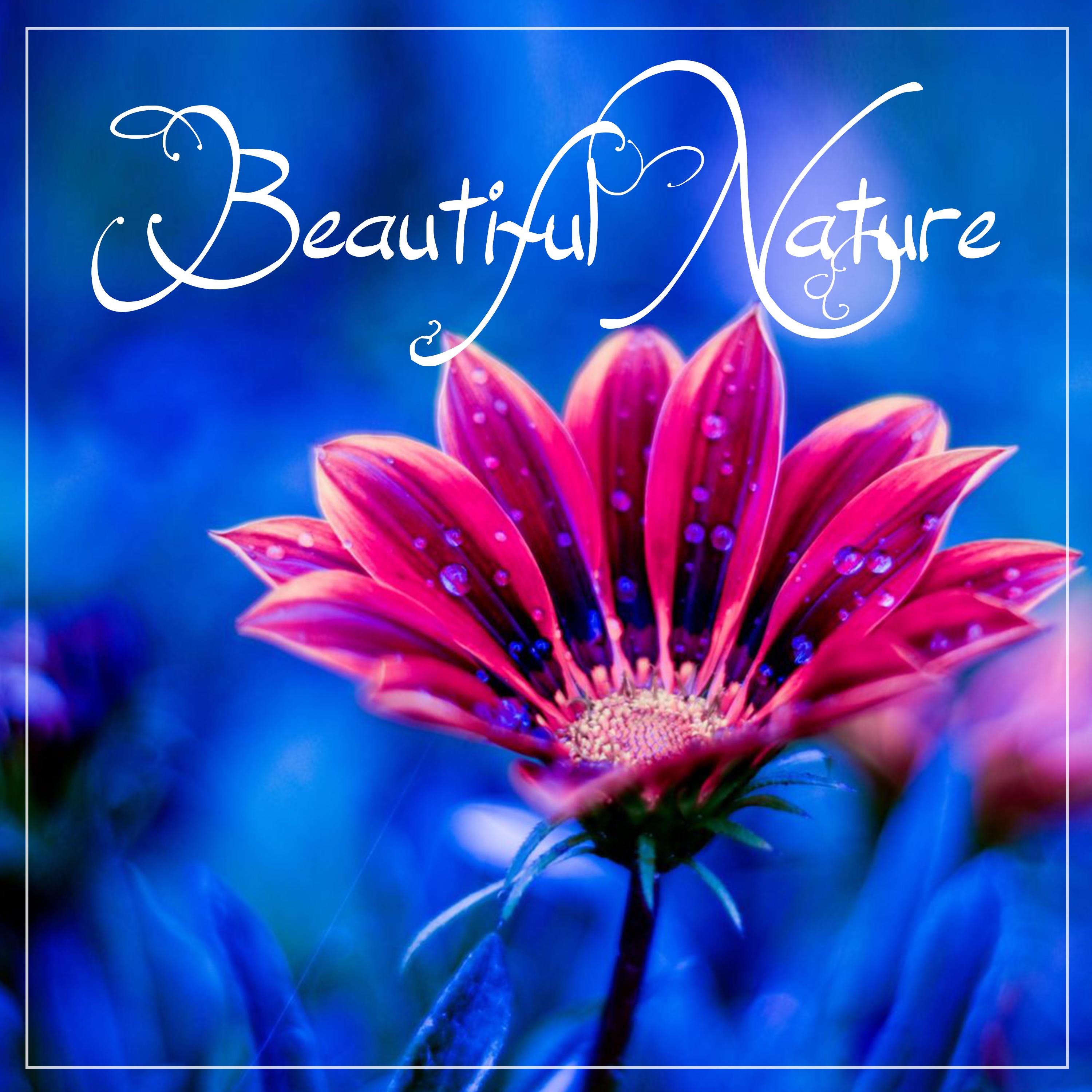 Beautiful Nature
