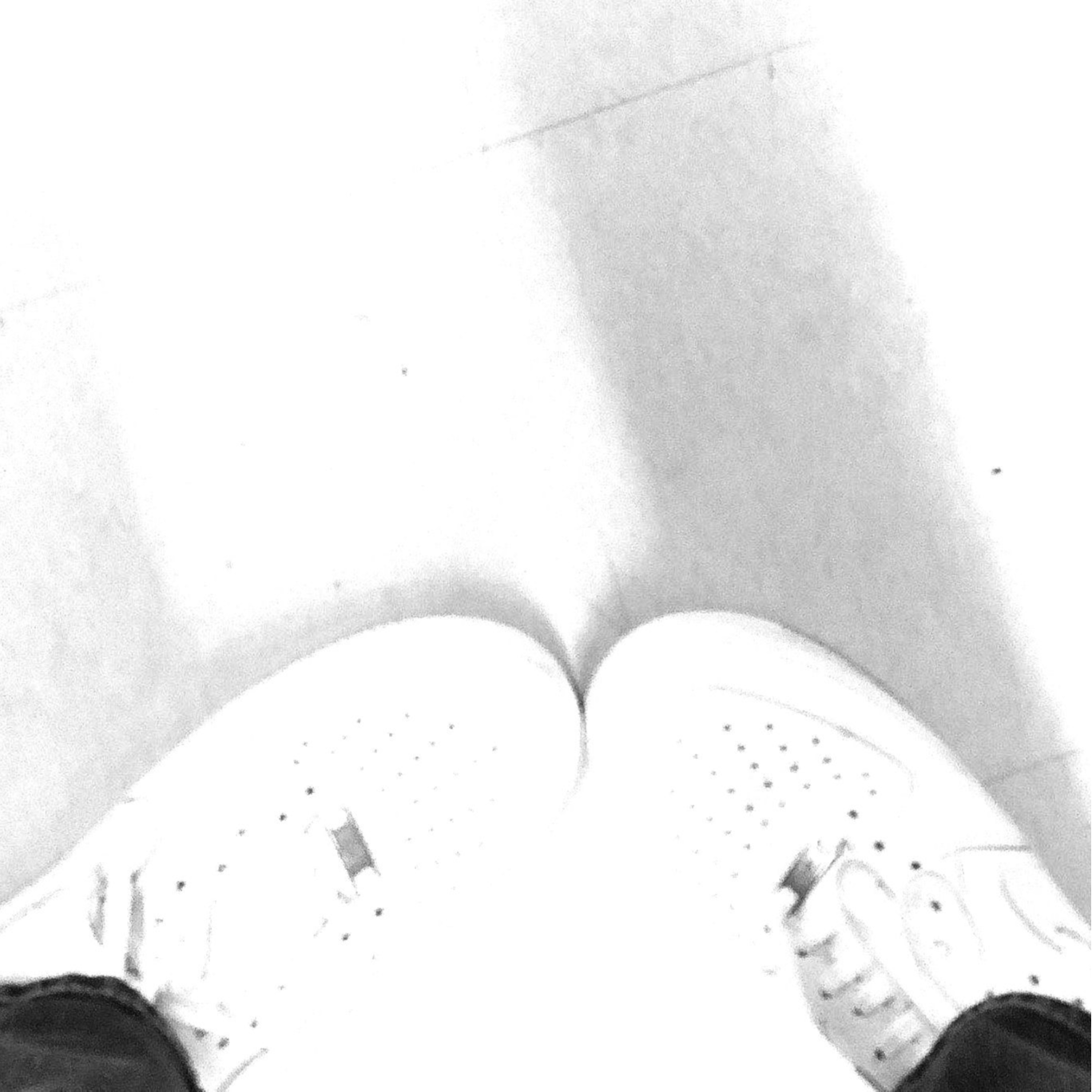 whitelist