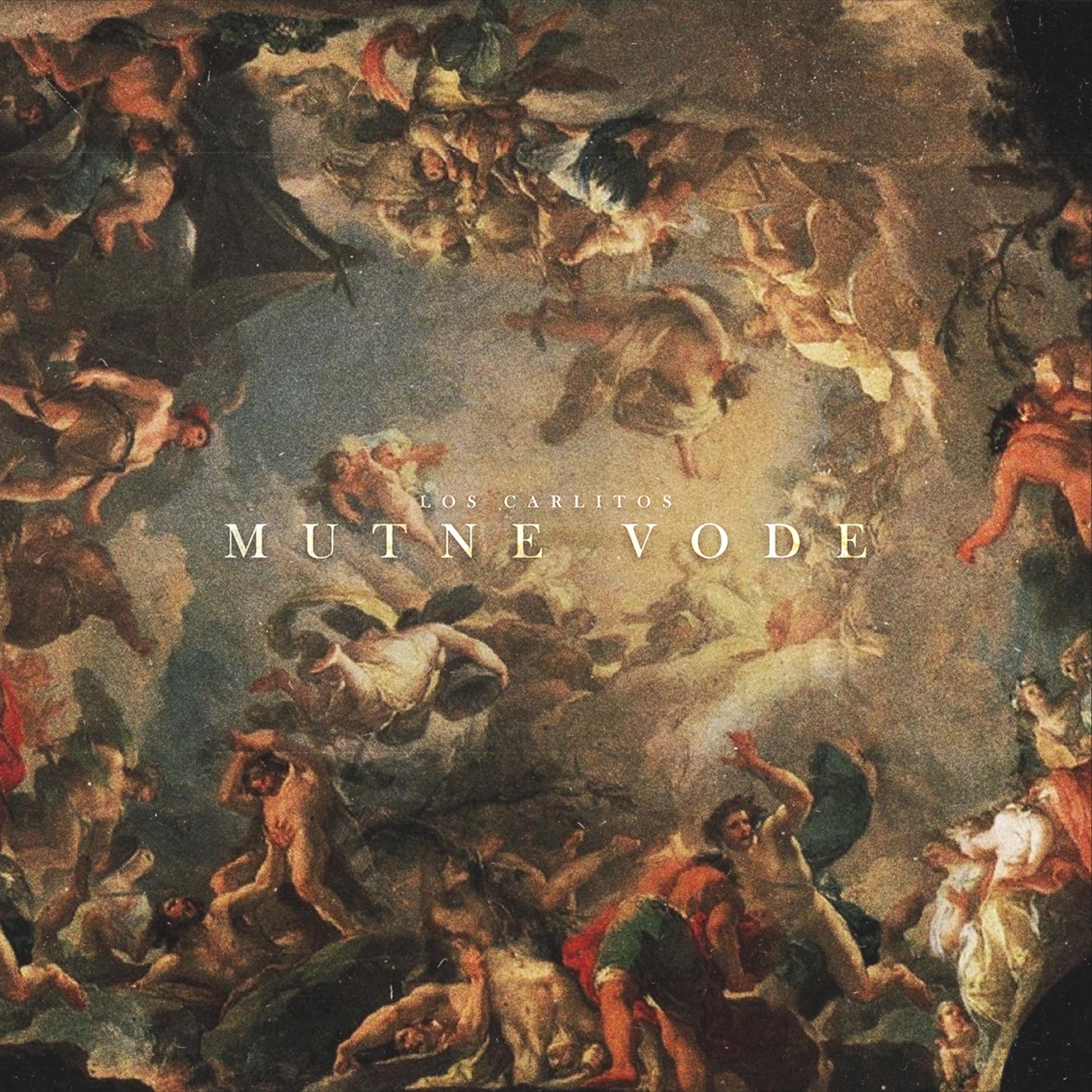 Mutne vode