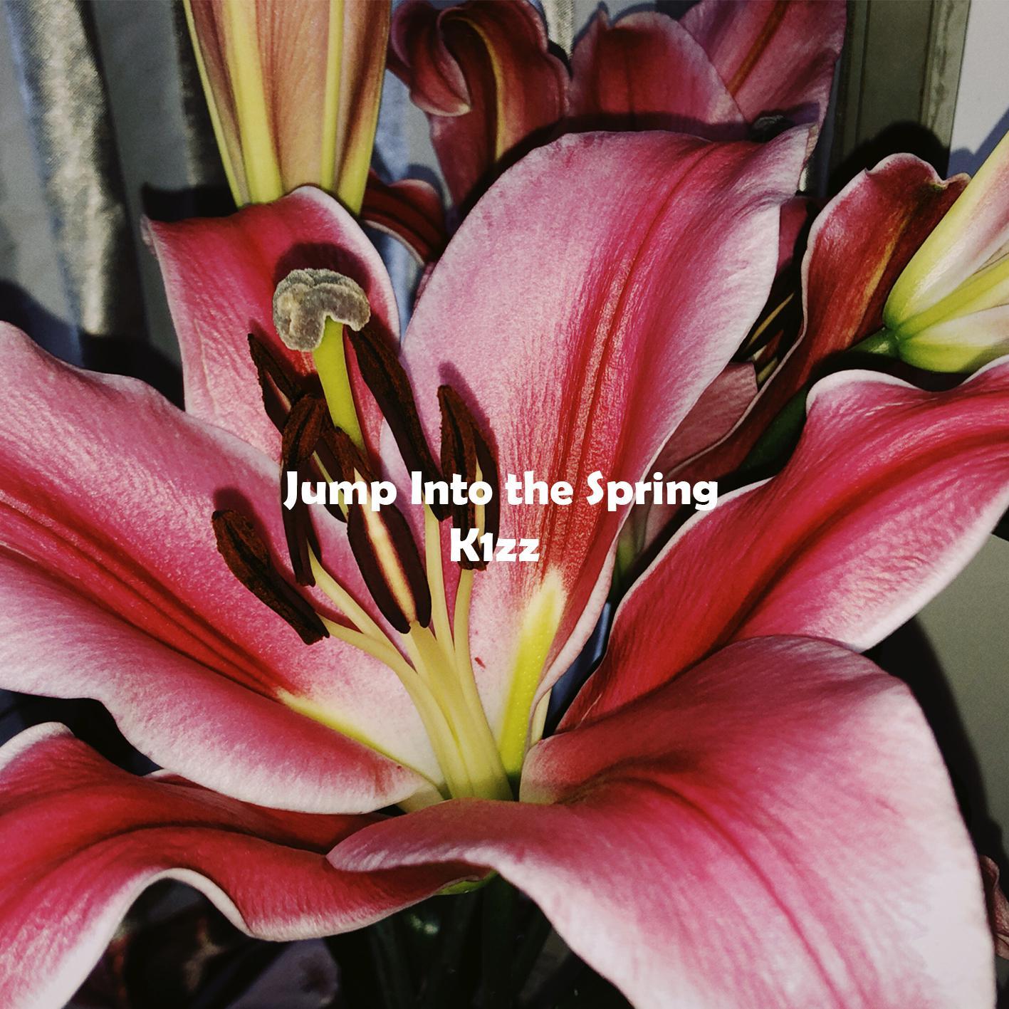 Jump into the Spring