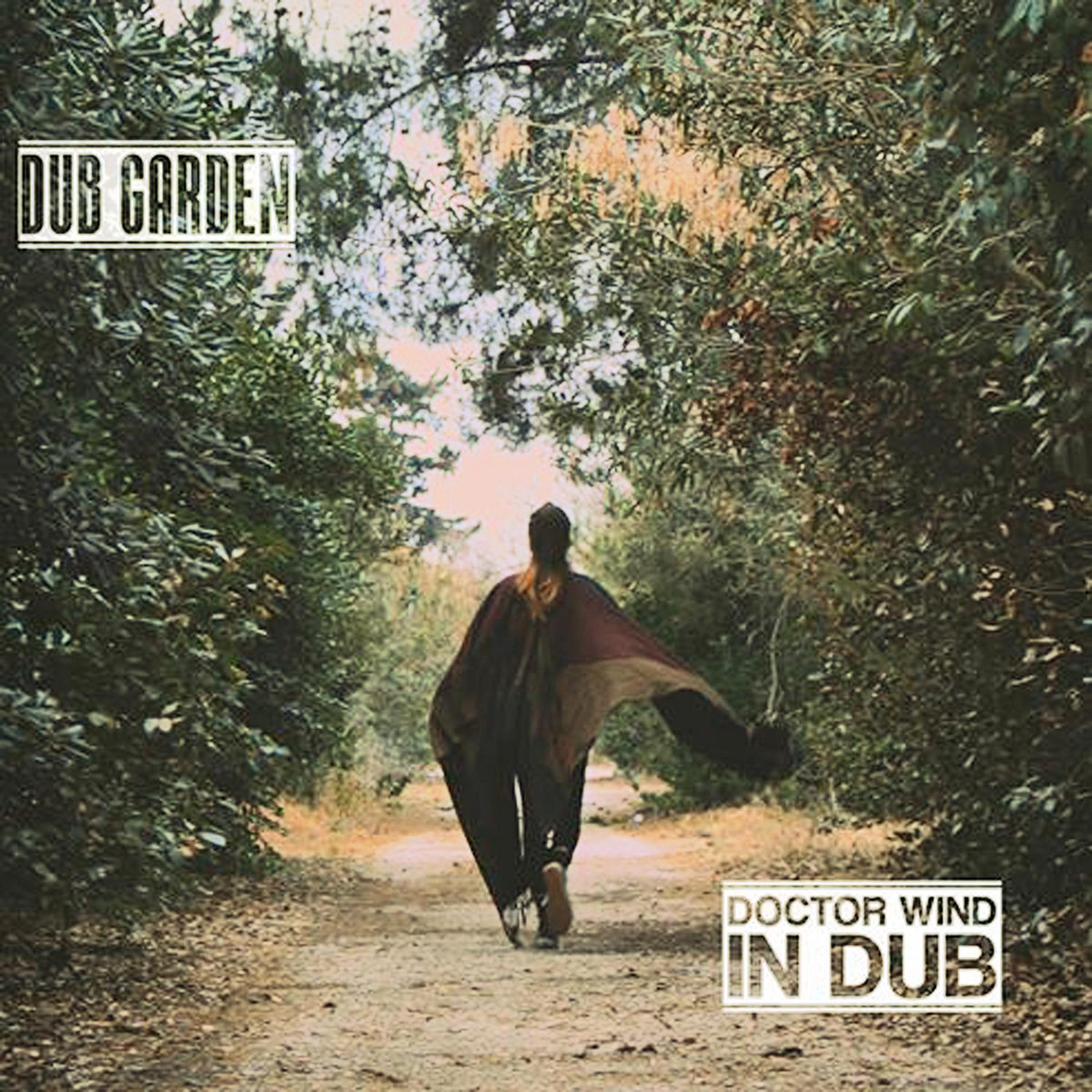 Doctor Wind Dub