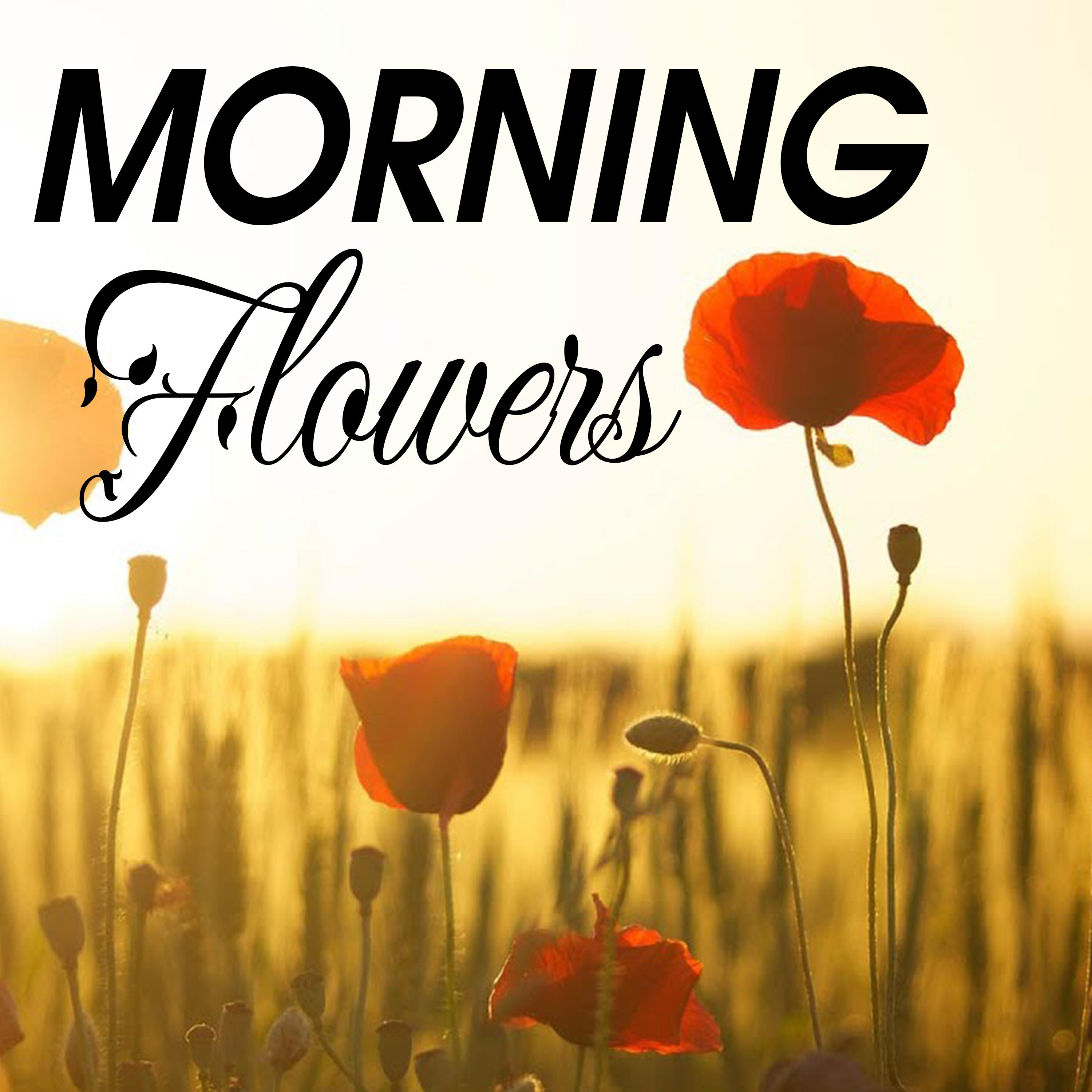 Nice Morning Flowers