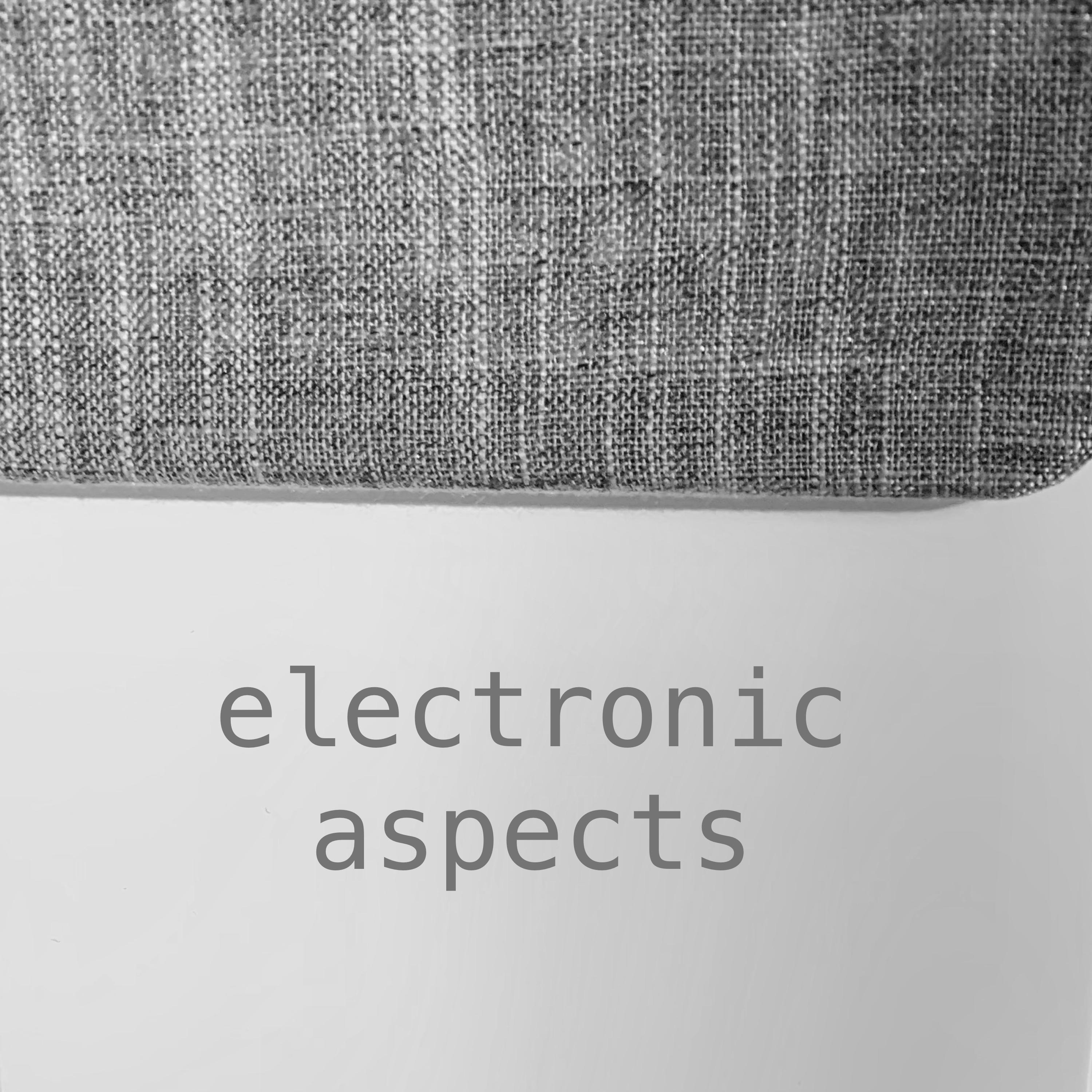 Electronic Aspects I