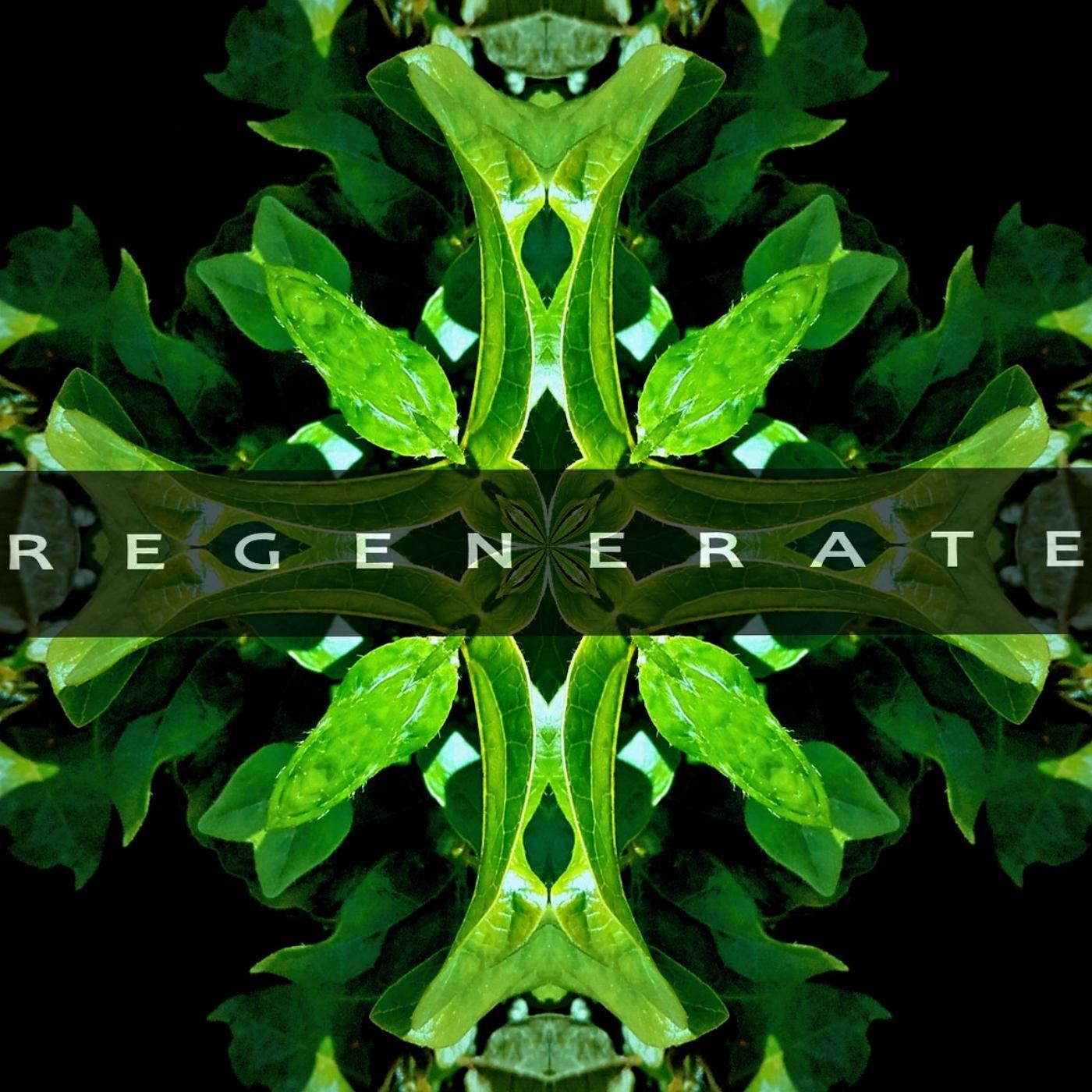 Regenerate
