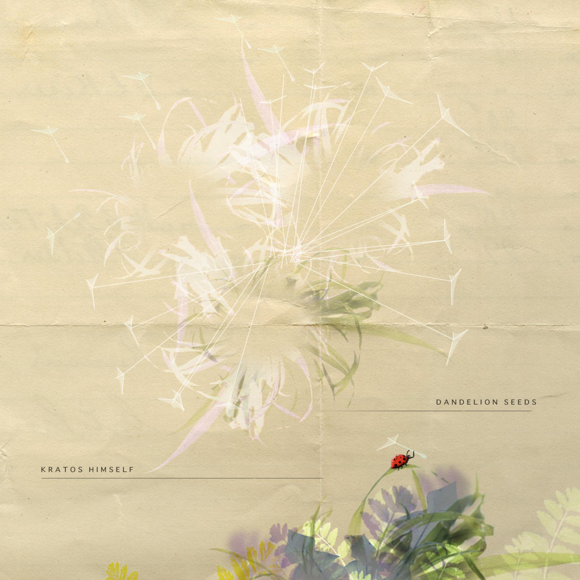 Dandelion Seeds