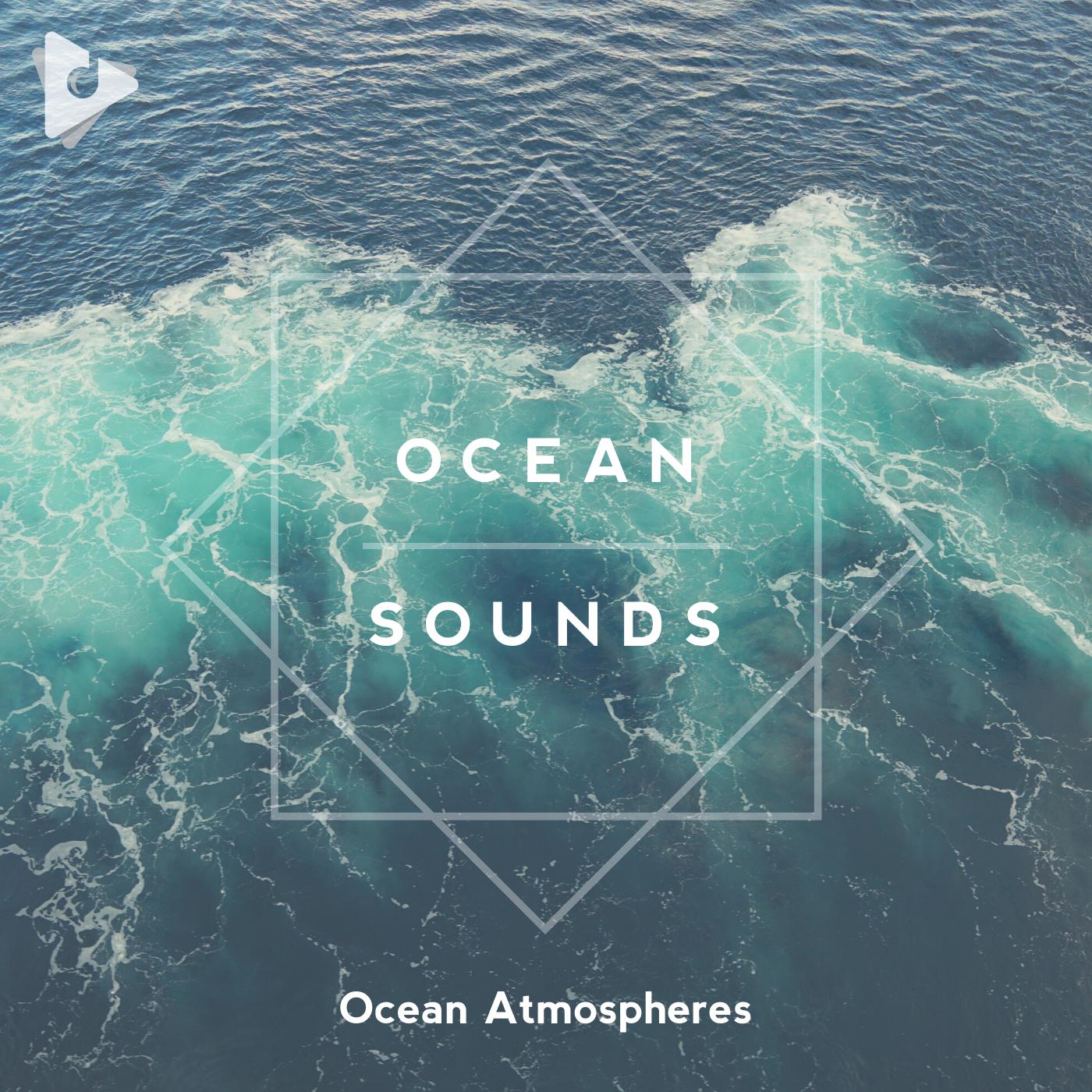 Ocean Minded