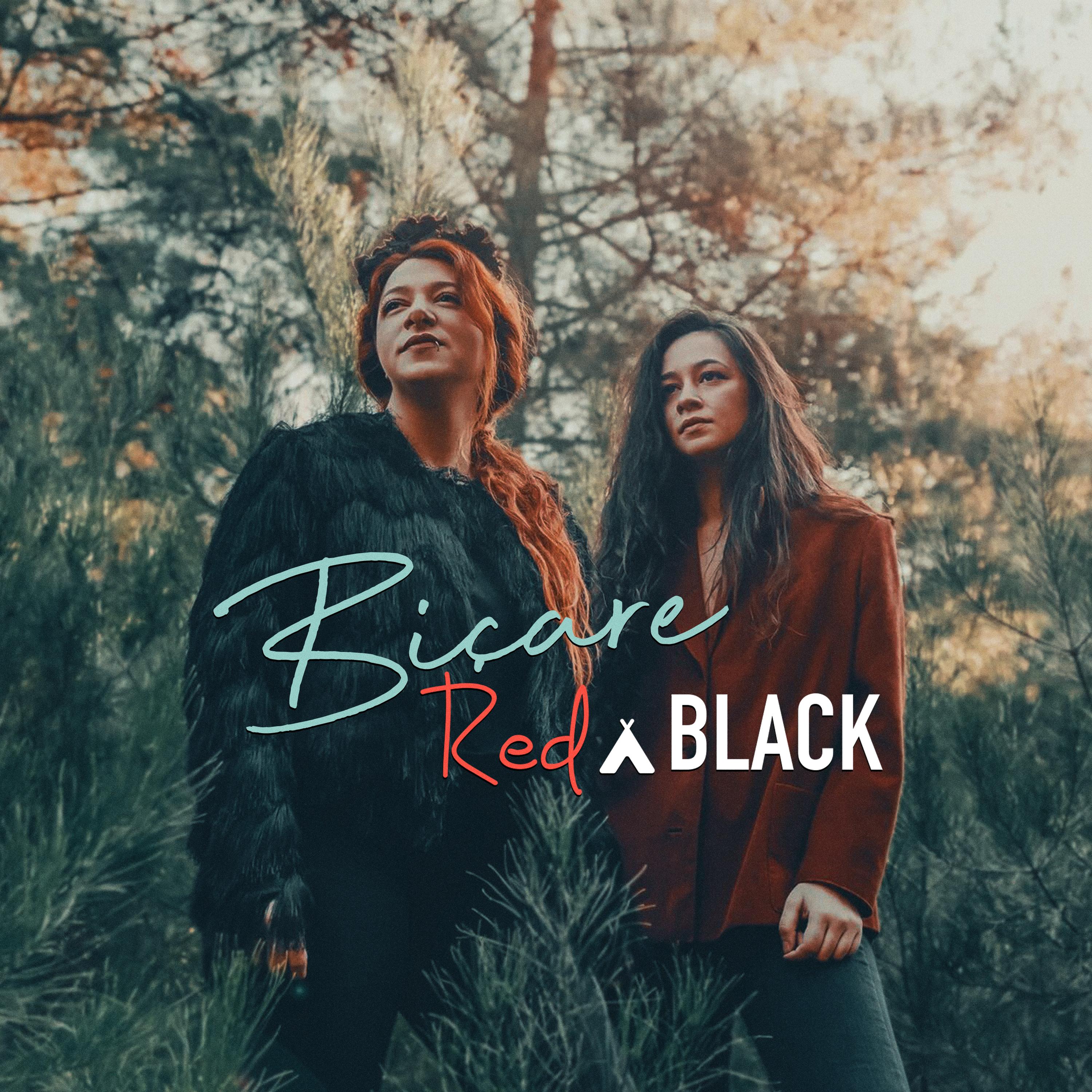 Bi are