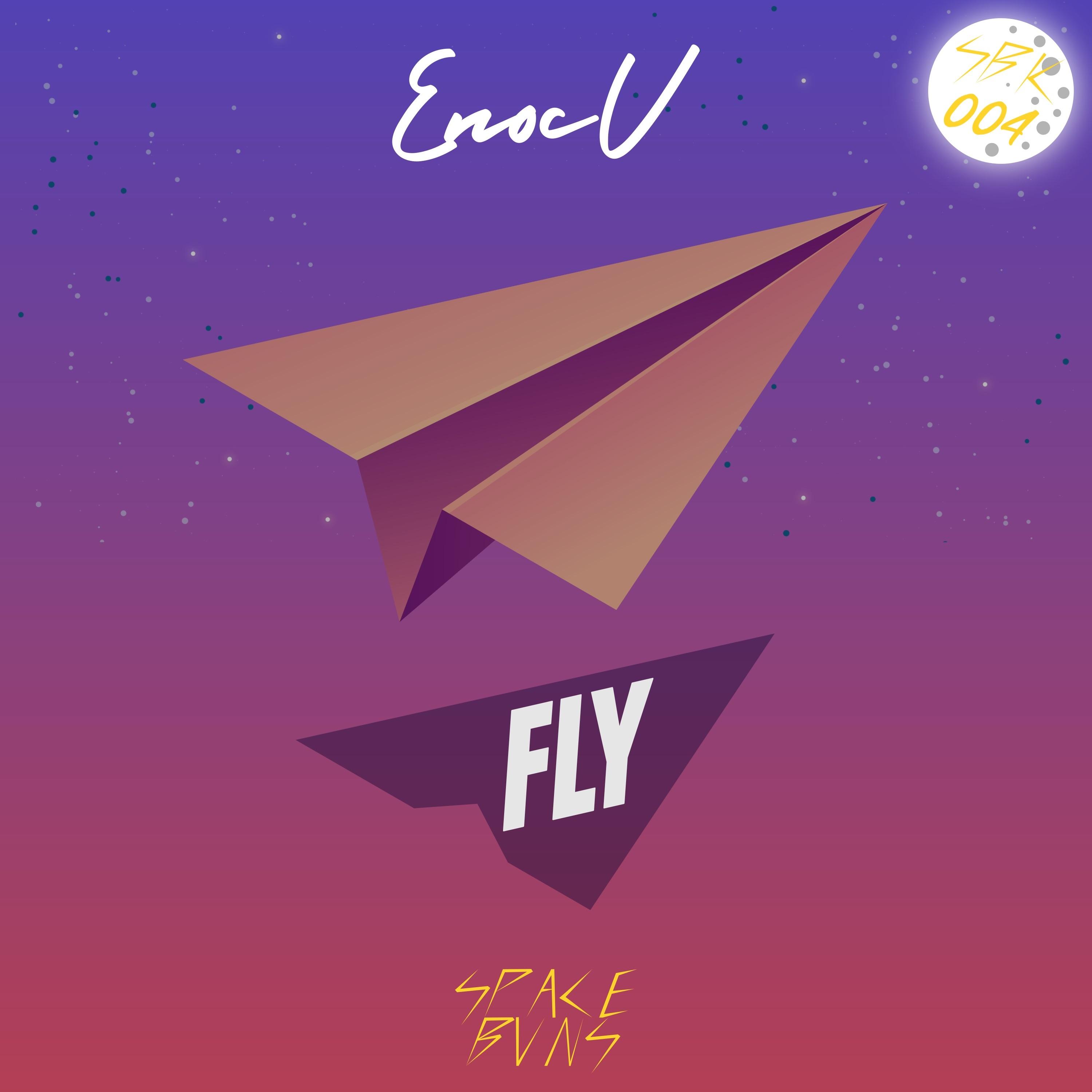 Fly