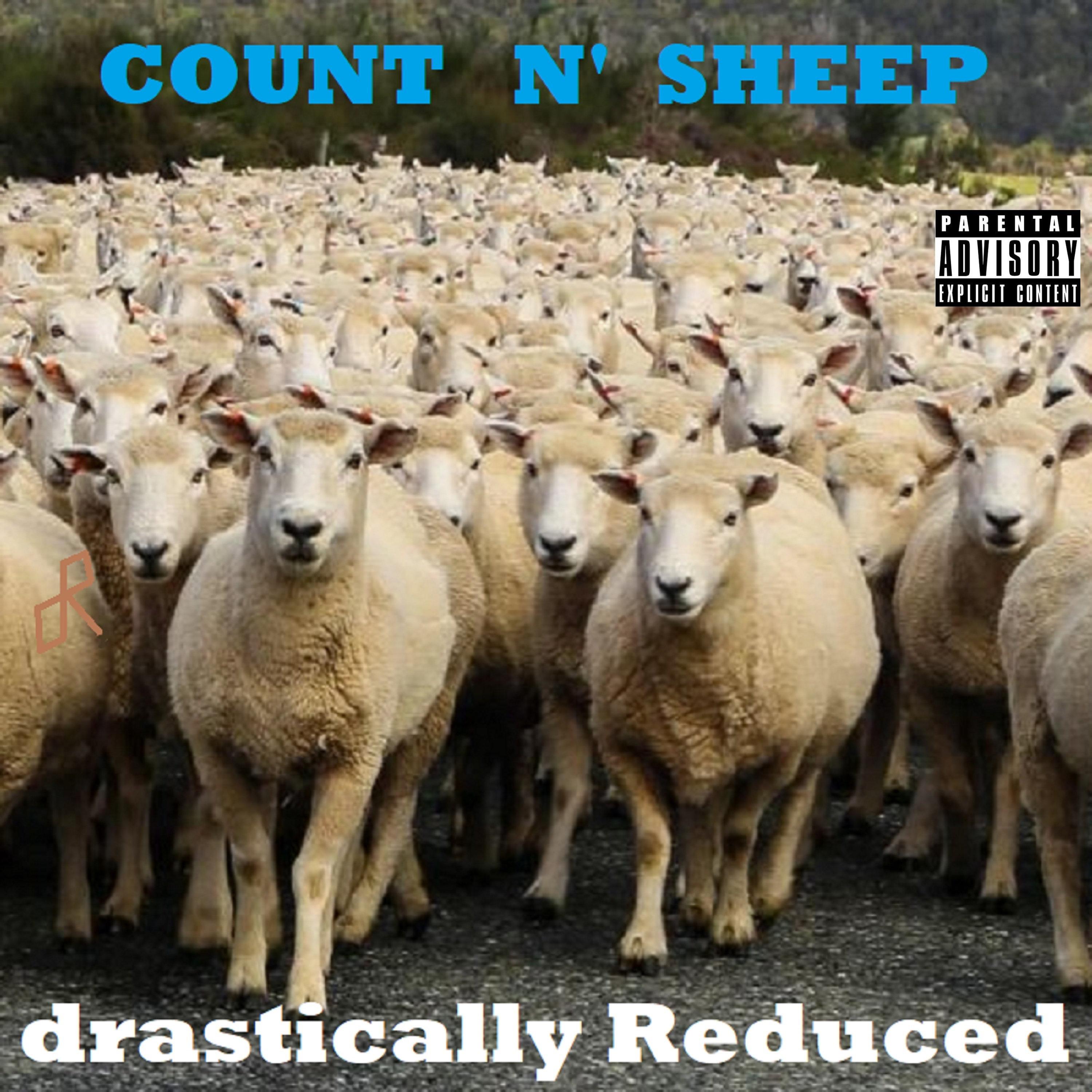 Count N' Sheep