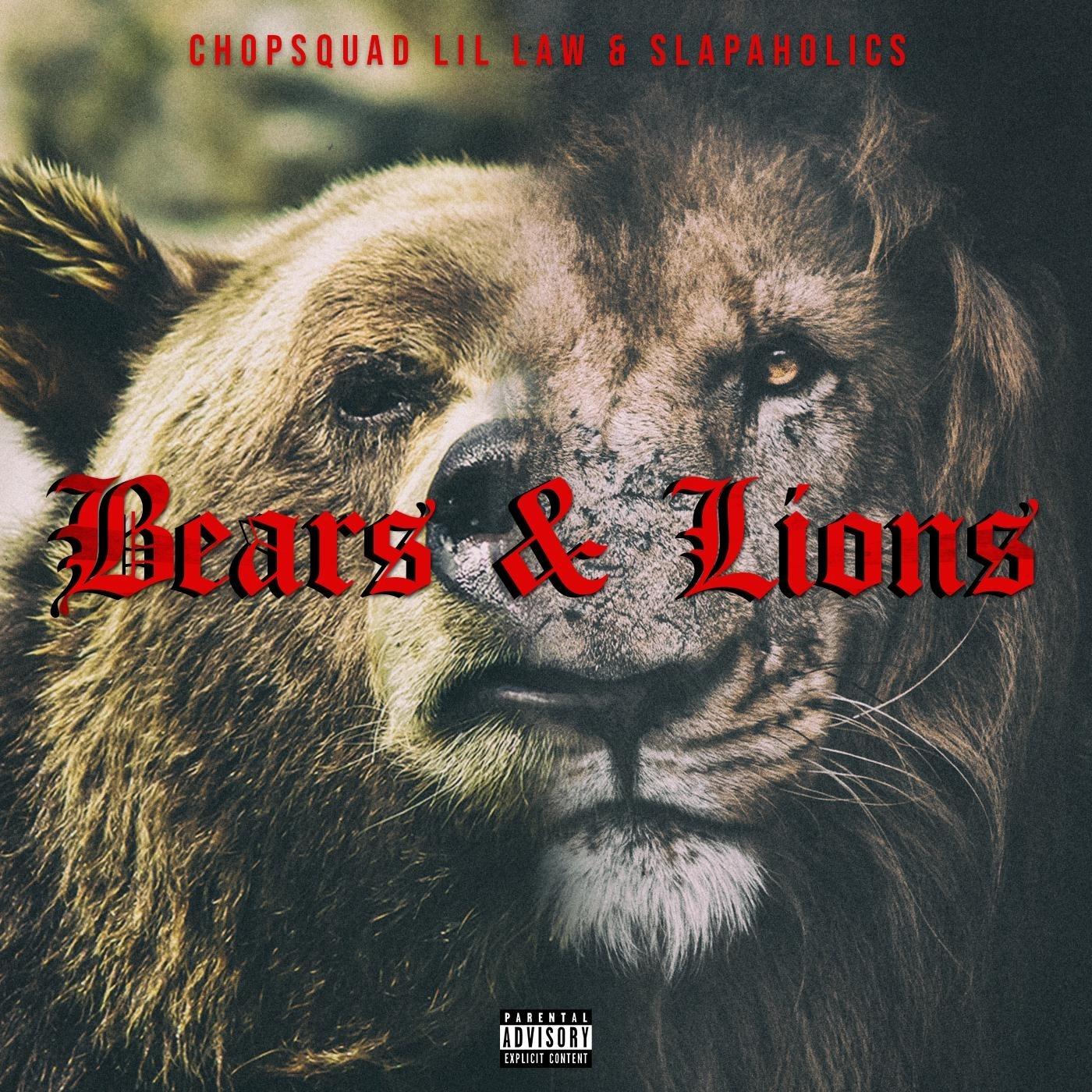Bears & Lions