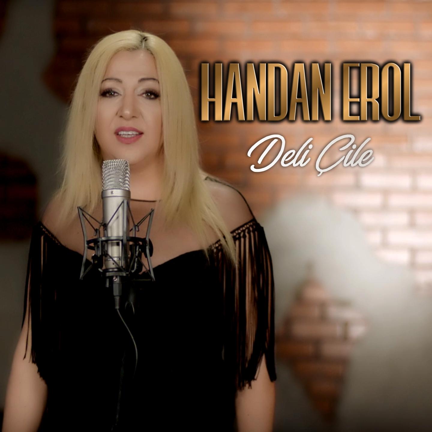 Deli ile
