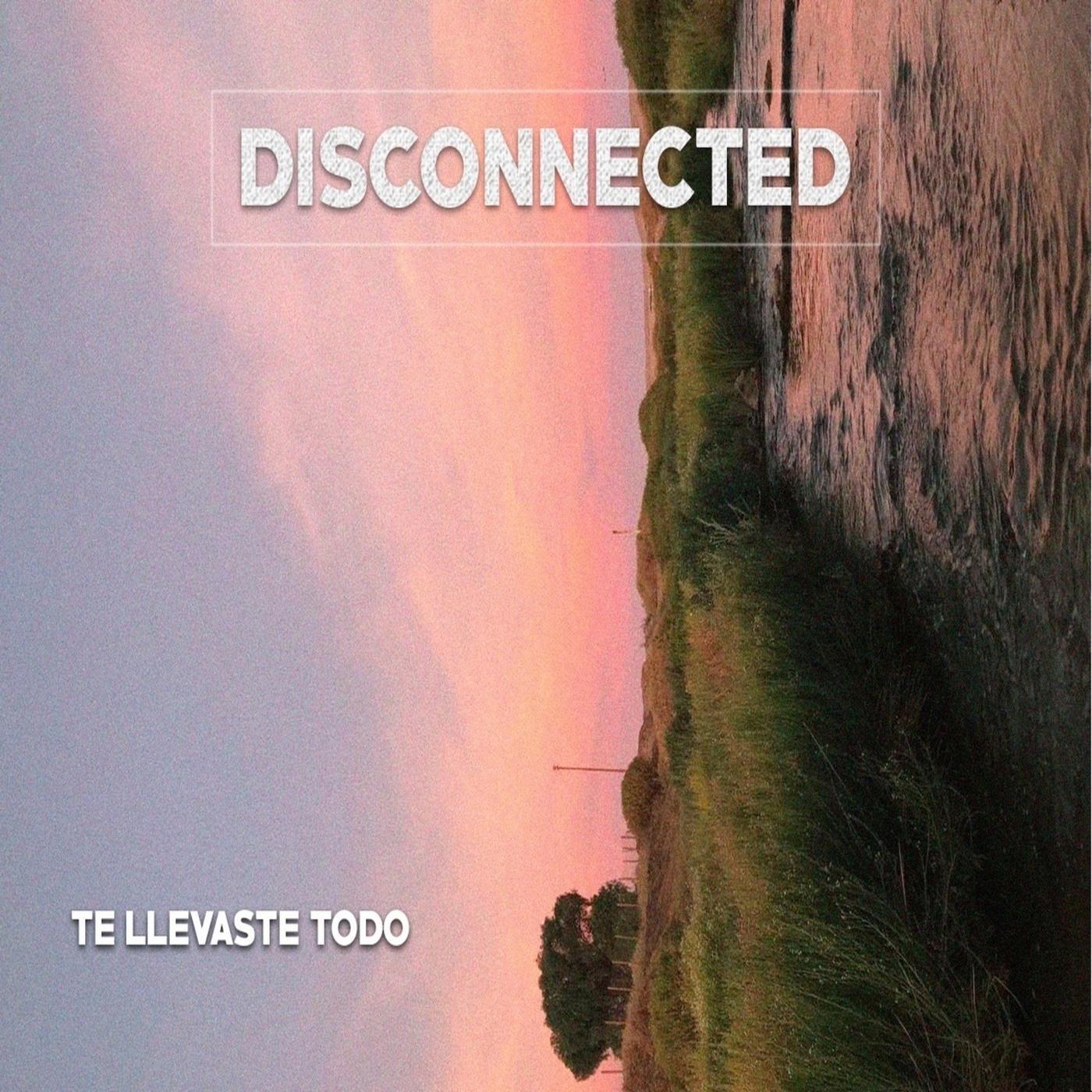 Te Llevaste Todo