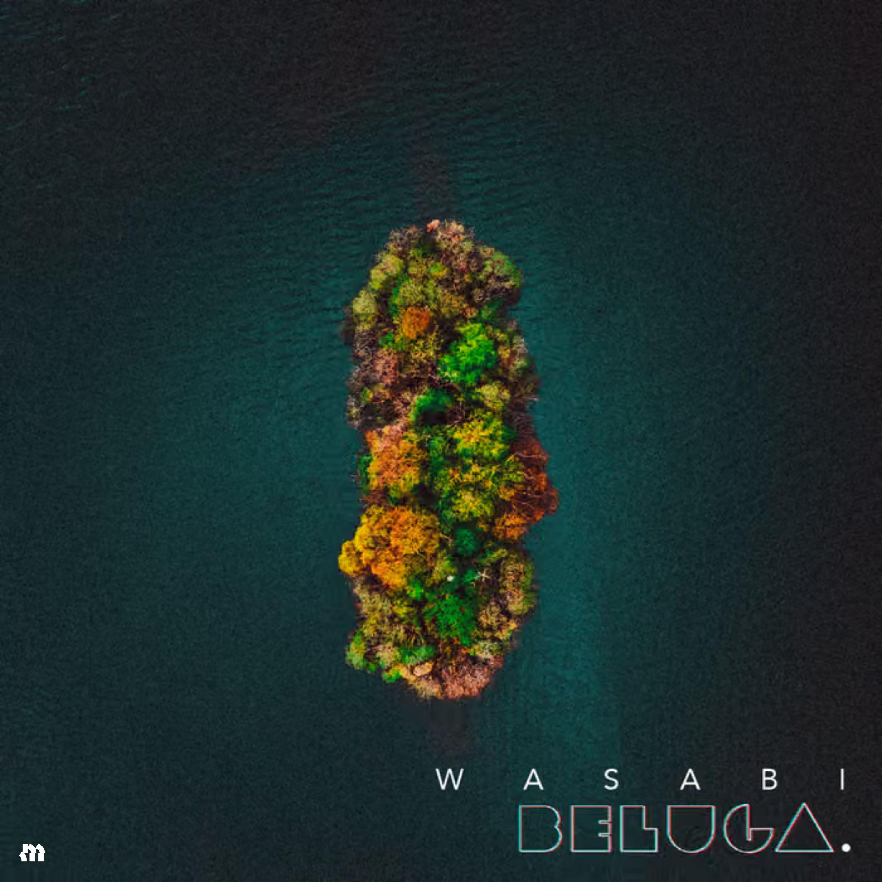 Wasabi
